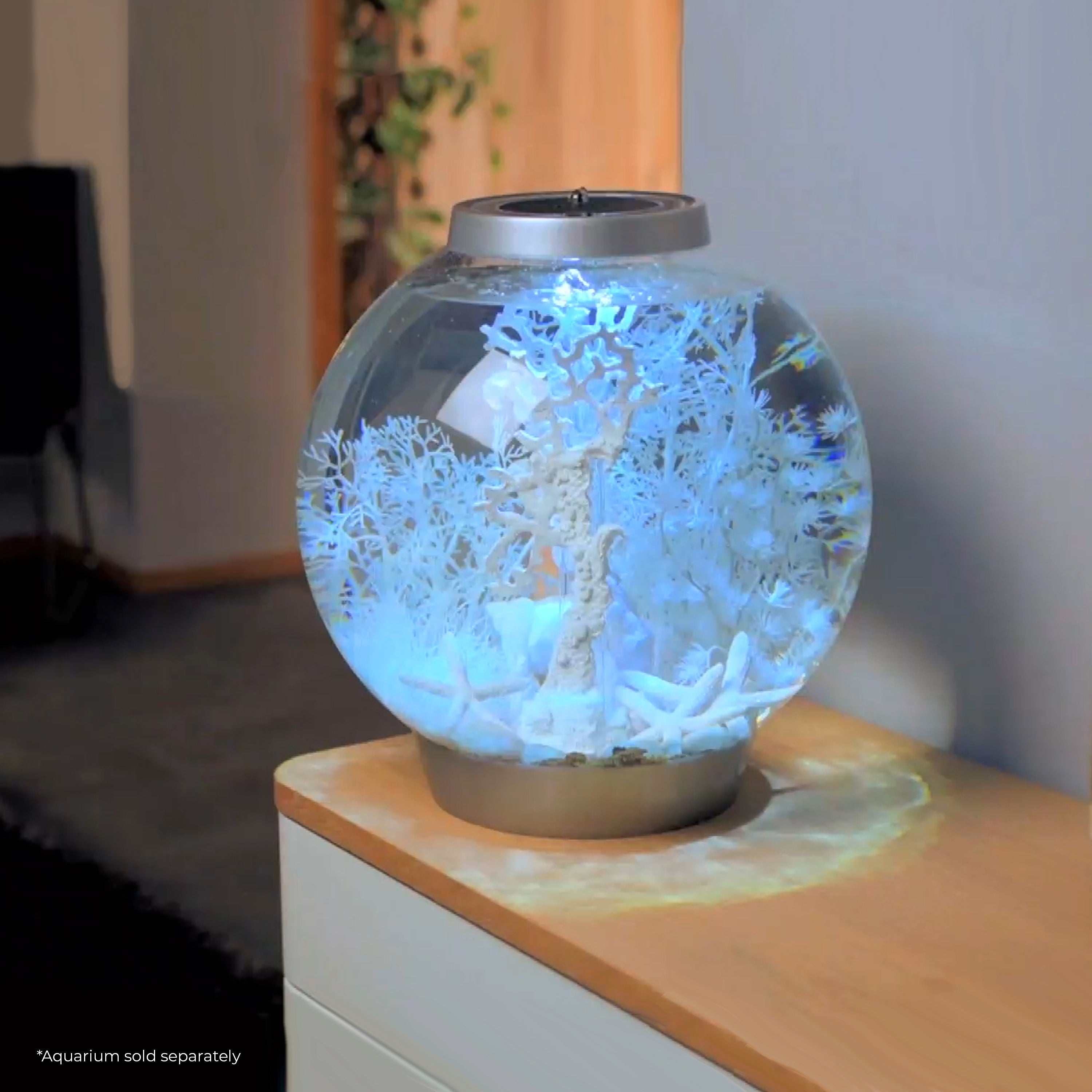 Winter Dream Décor Set - In use