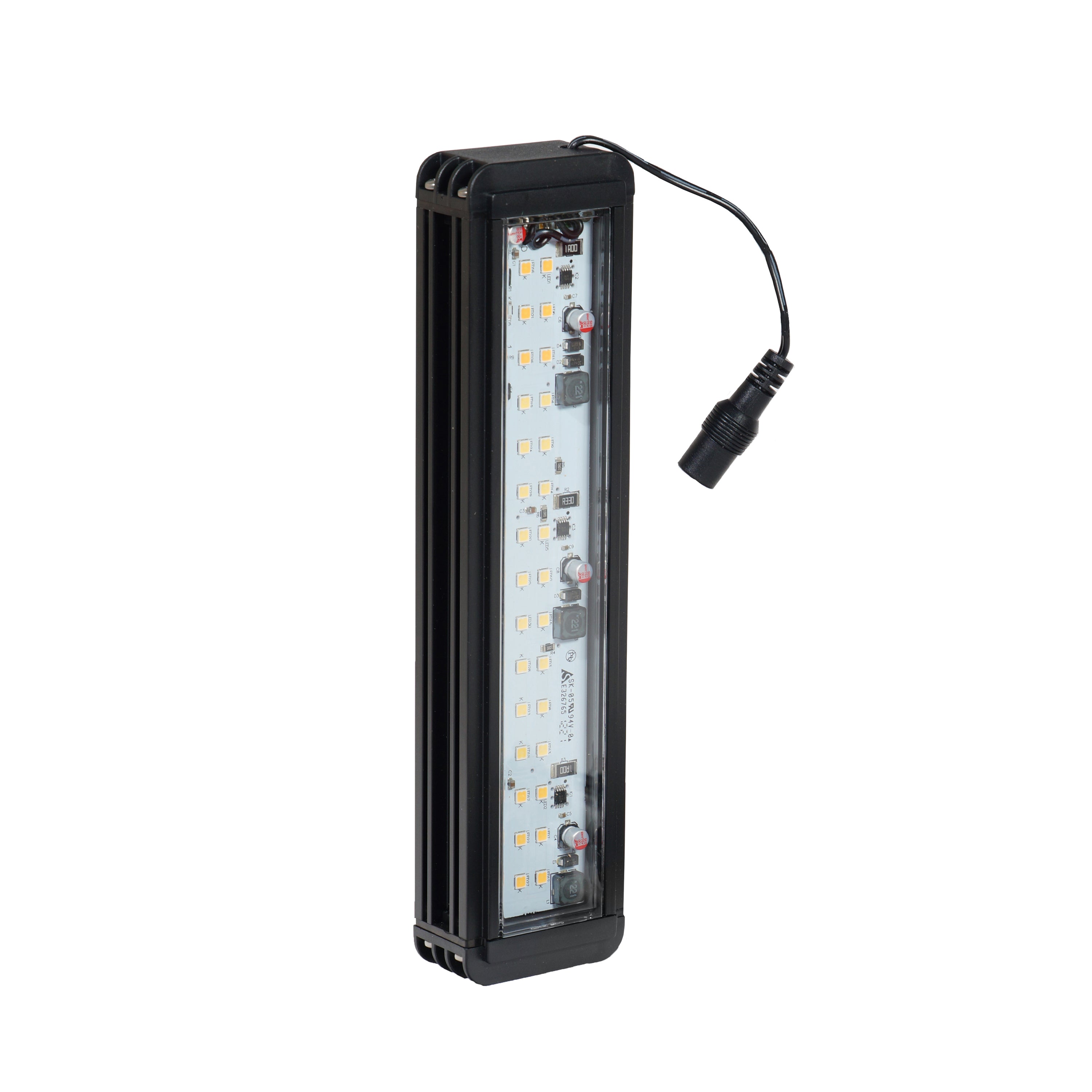 EARTH LED white Light