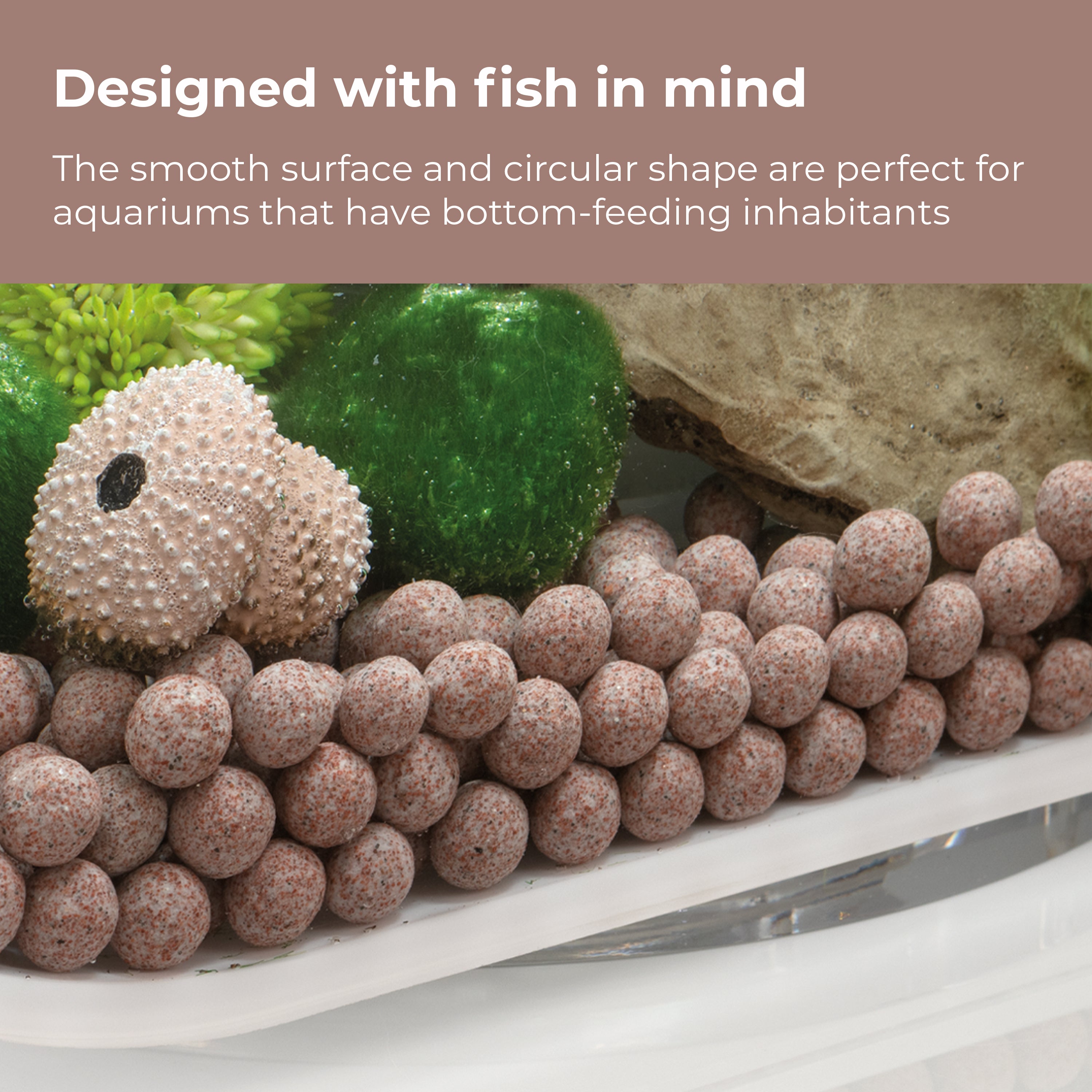 Pearl Media - Designed with fish in mind