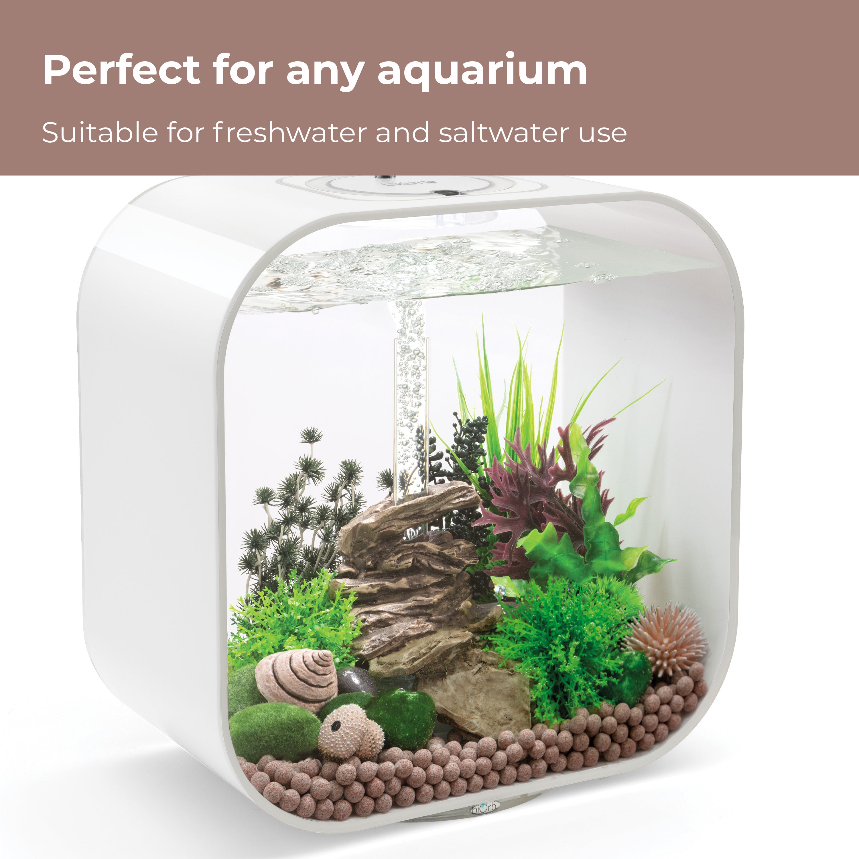 Pearl Media - Perfect for any aquarium