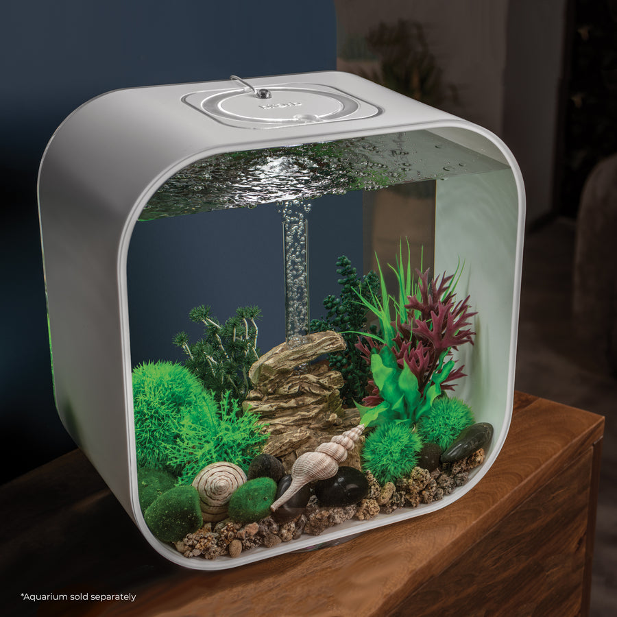 Aquarium Decor Sets to Enhance Your Tank biOrb US