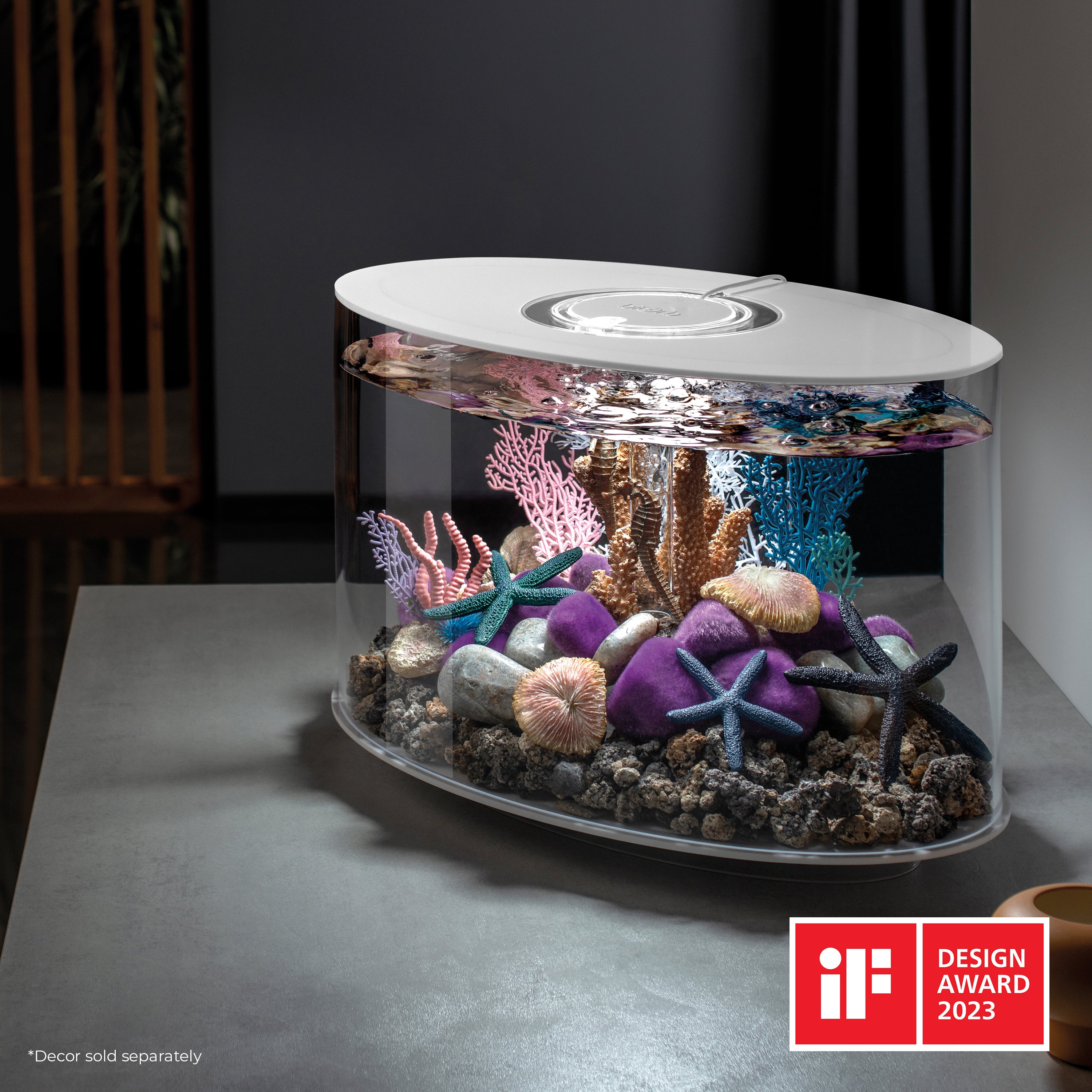 Get inspiration for your aquarium LOOP 15 Aquarium with Standard Light - 4 gallon available in white