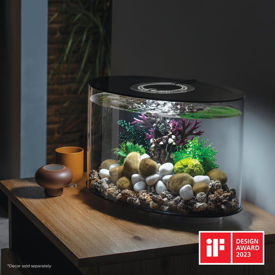 Curated visual reference: Fresh Look at Loop Aquariums
