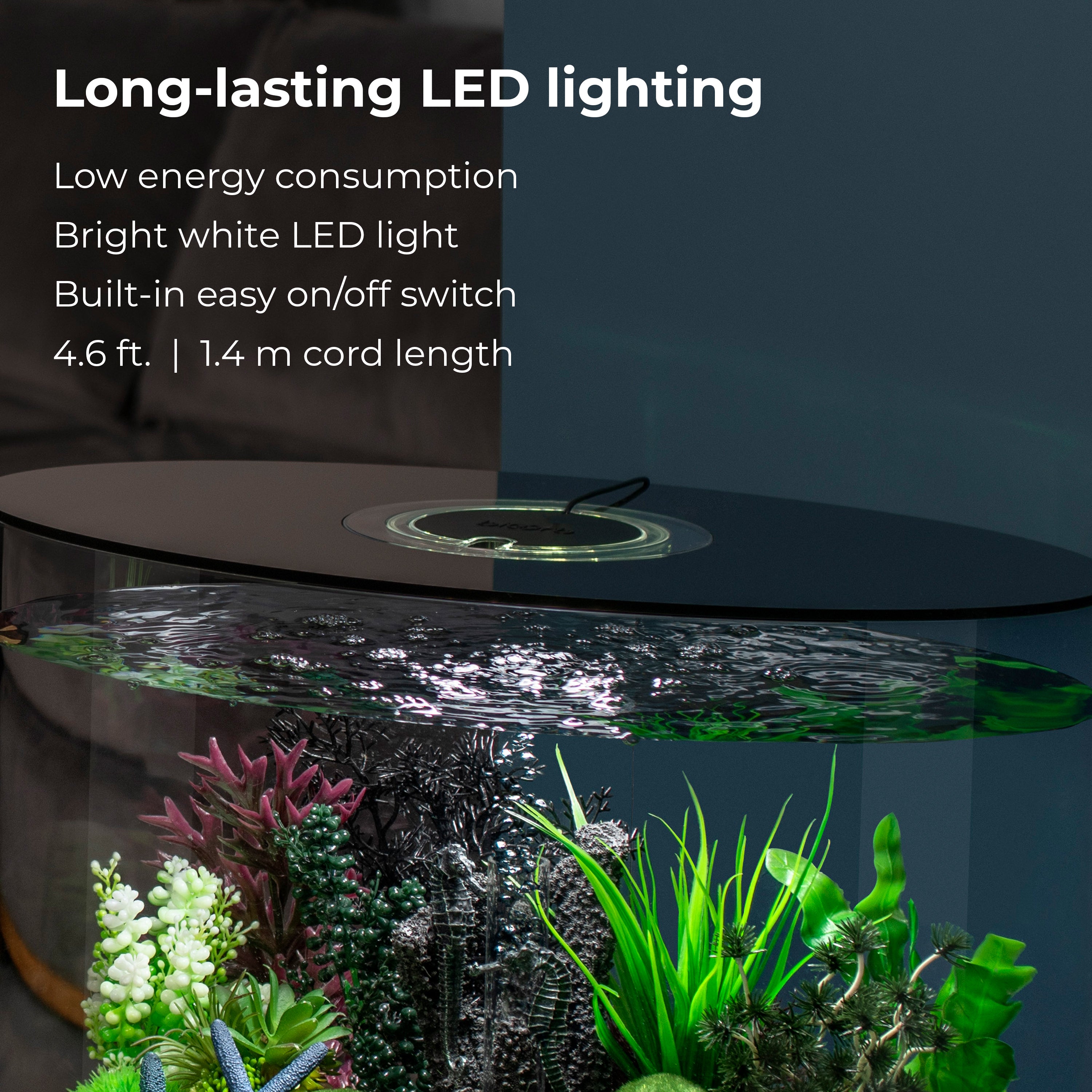 LOOP 30 Aquarium with Standard Light - 8 gallon - Long-lasting LED lighting