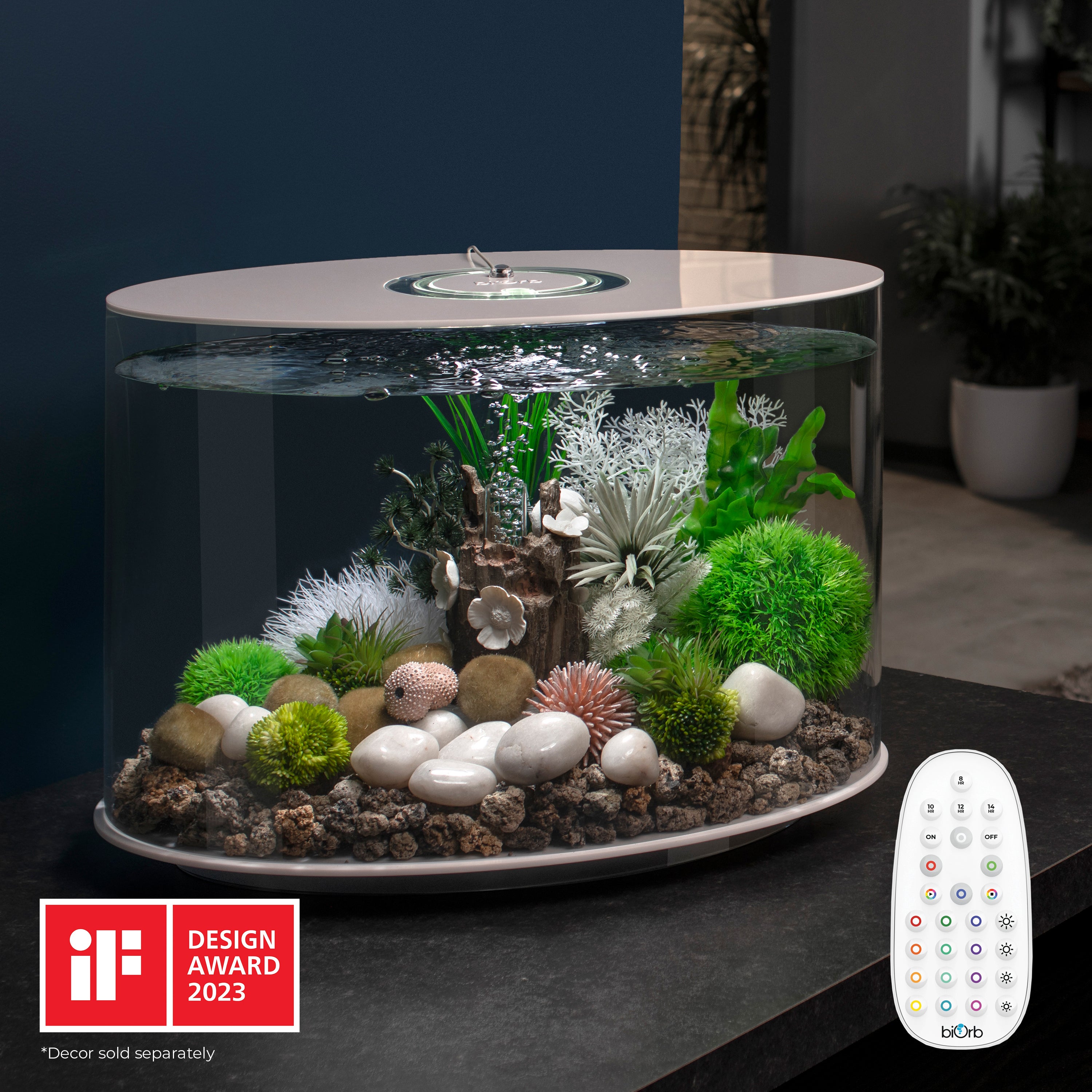 LOOP 30 Aquarium with MCR Light - 8 gallon In Use