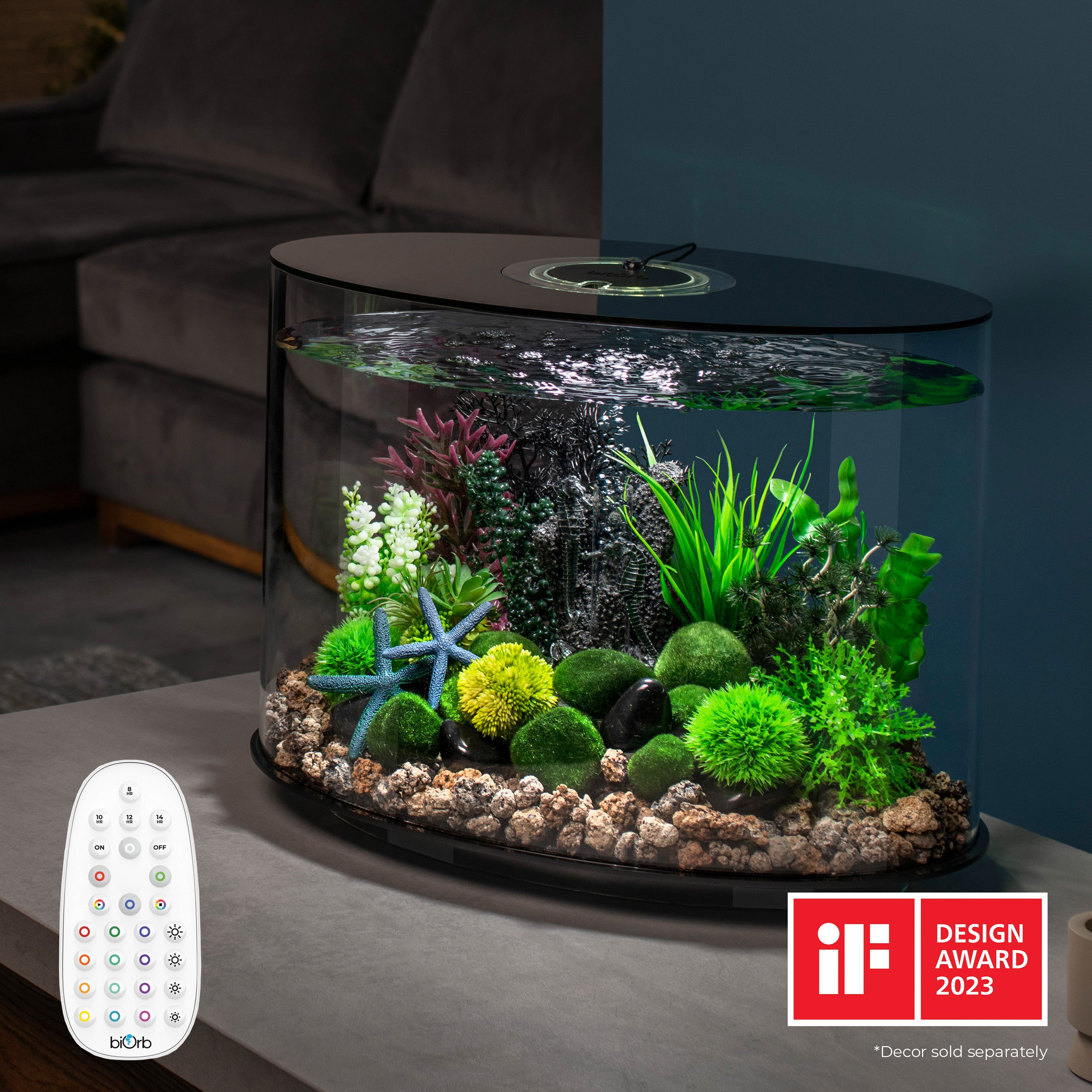 LOOP 30 Aquarium with MCR Light - 8 gallon In Use