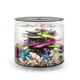 TUBE 15 Aquarium with Standard Light - 4 gallon