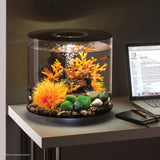 TUBE 15 Aquarium with Standard Light - 4 gallon In use