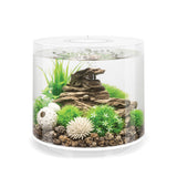 TUBE 15 Aquarium with Standard Light - 4 gallon