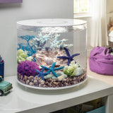 TUBE 15 Aquarium with Standard Light - 4 gallon In use