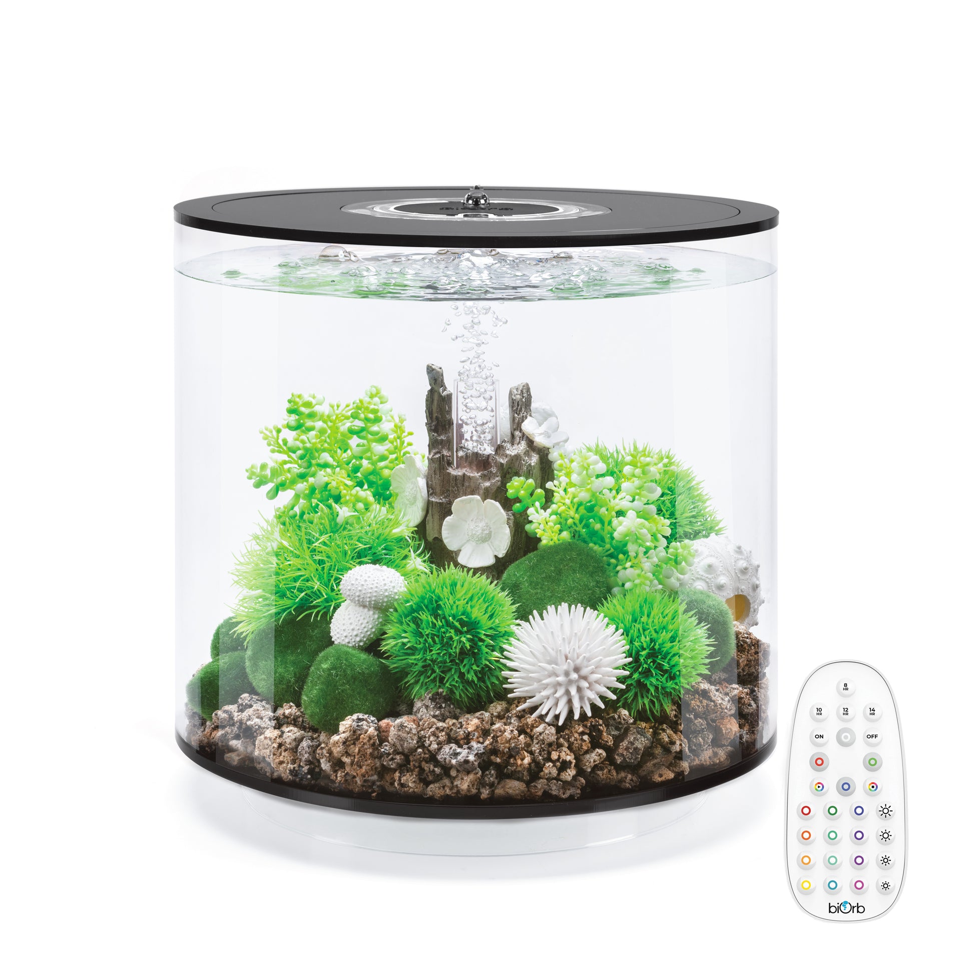 biOrb 72465 Accessoires LED Aquariophilie Eclairage Décoration biOrb 72465 Accessoires LED Aquariophilie Eclairage Décoration