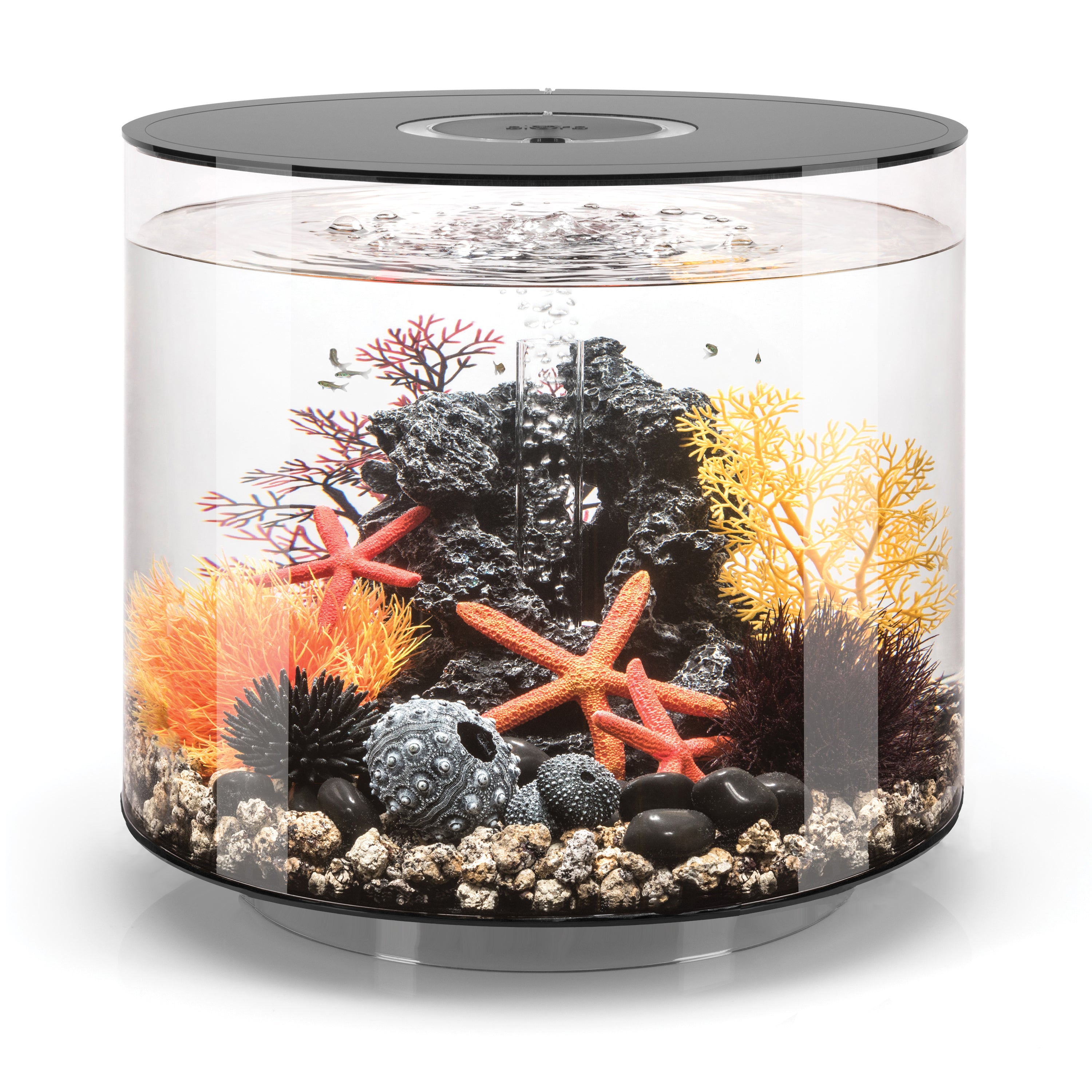 TUBE 35 Aquarium with Standard Light - 9.2 gallon