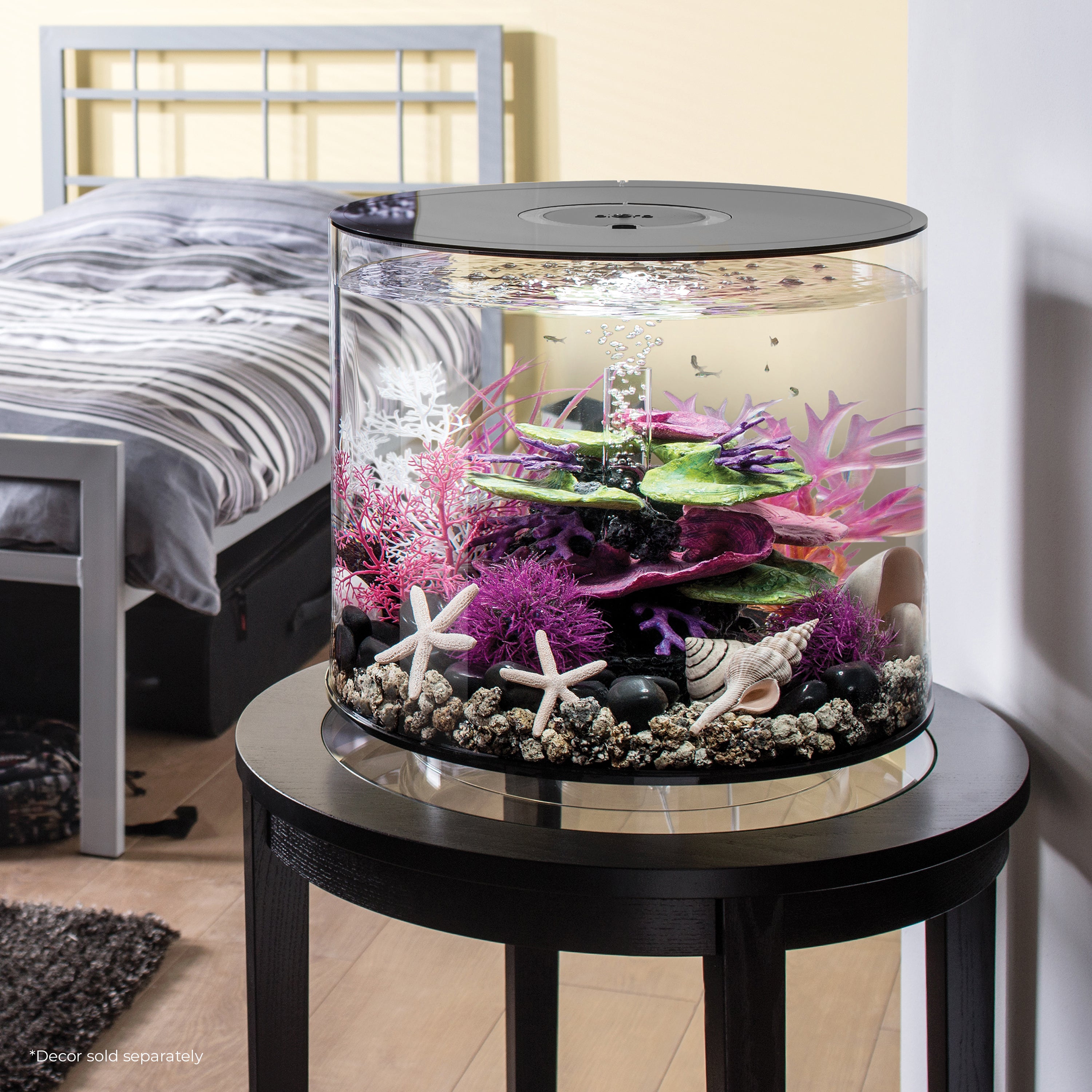 TUBE 35 Aquarium with Standard Light - 9.2 gallon In Use