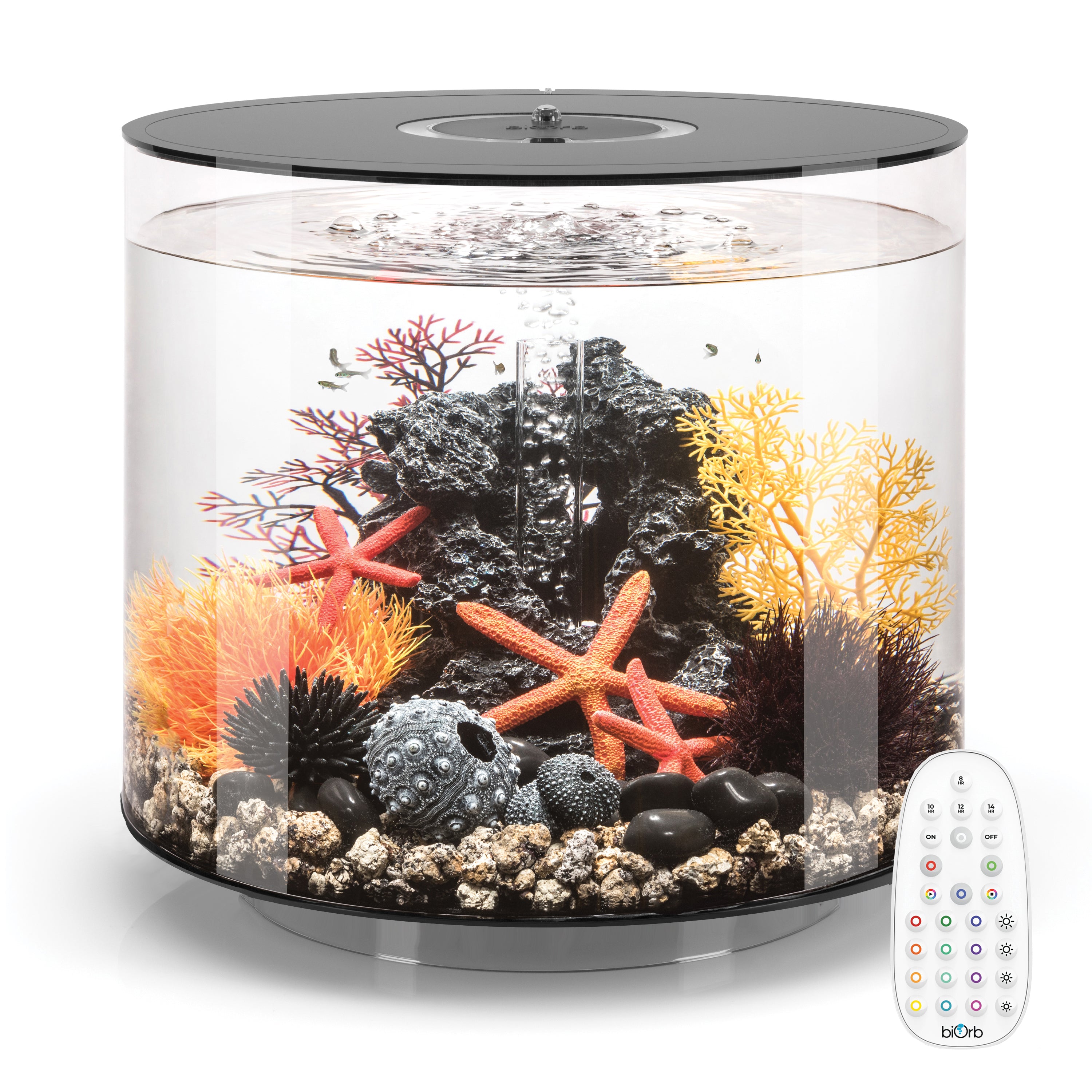 TUBE 35 Aquarium with MCR Light - 9.2 gallon