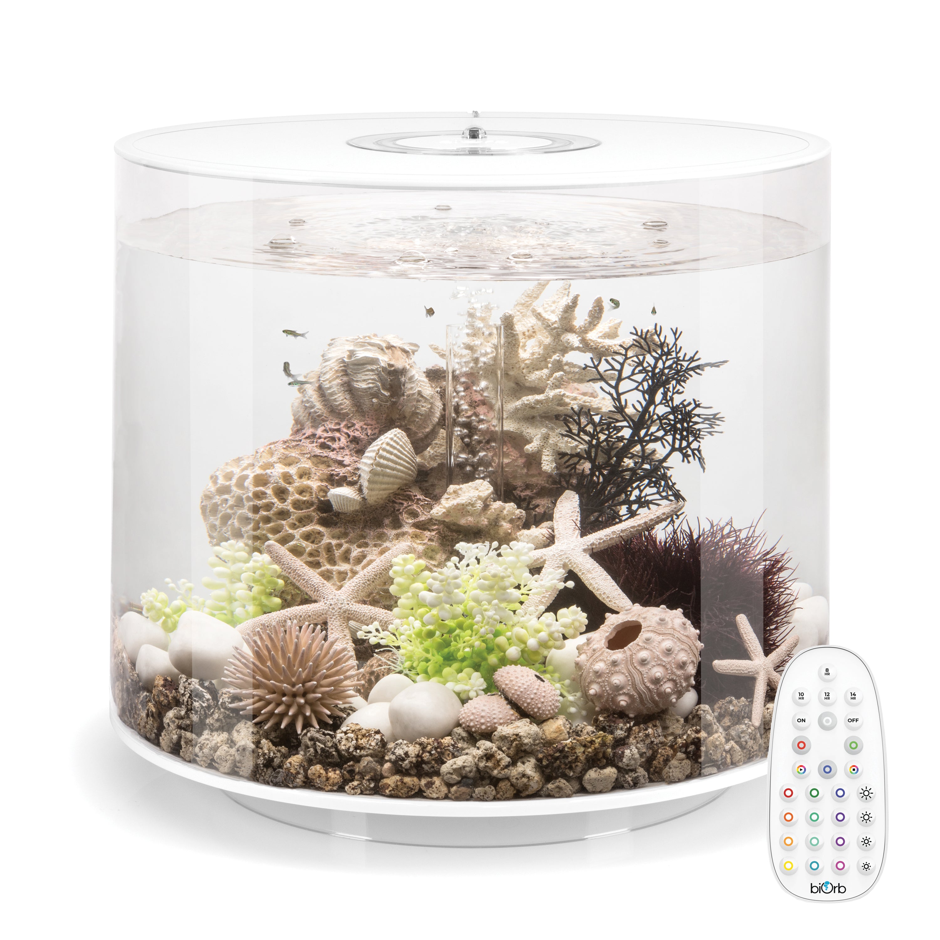 TUBE 35 Aquarium with MCR Light - 9.2 gallon