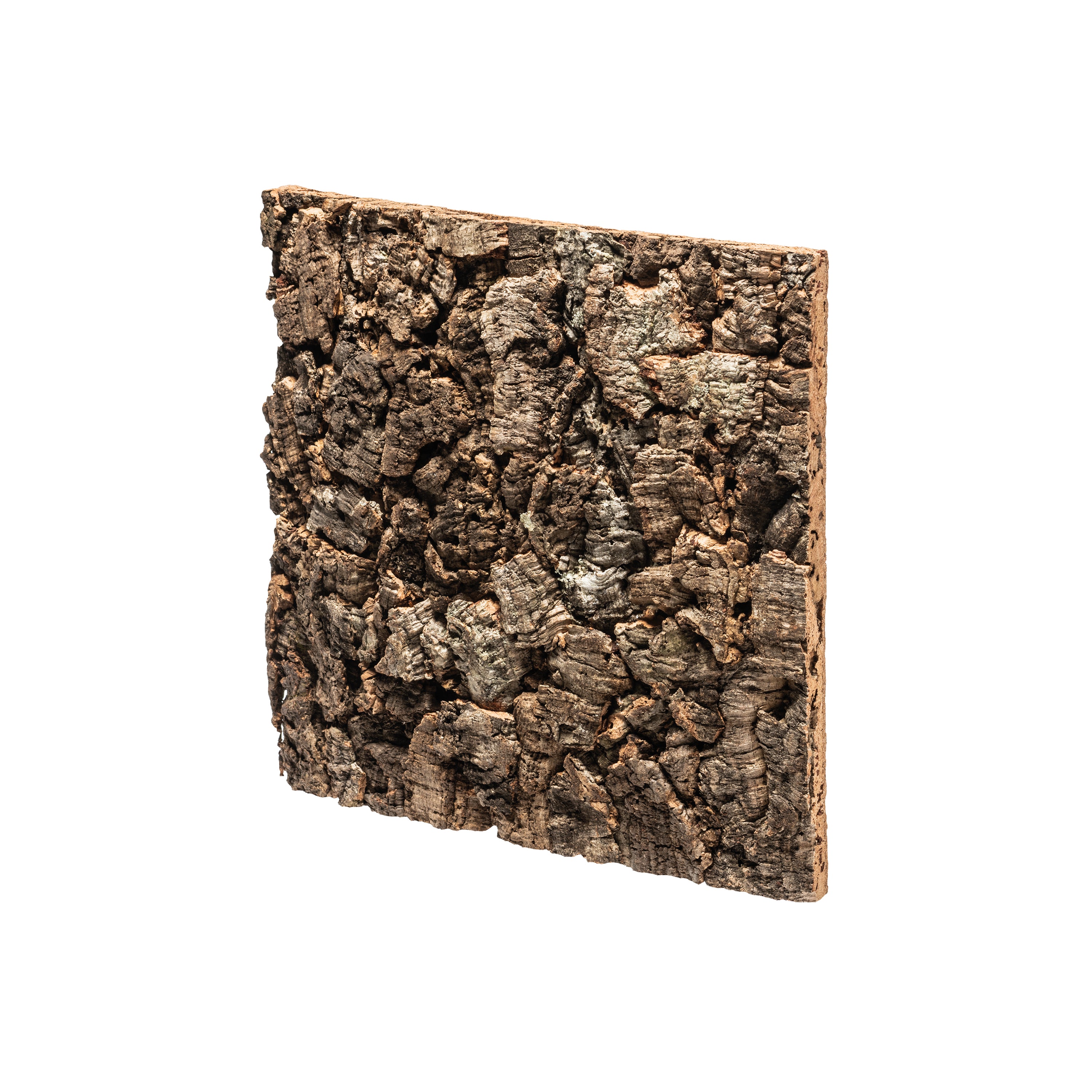 Backwall in Dark Oak