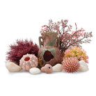 Lost Vase Décor Set