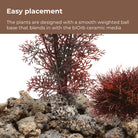 Lost Vase Décor Set easy placement of plants