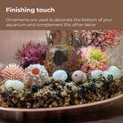 Lost Vase Décor Set ornaments