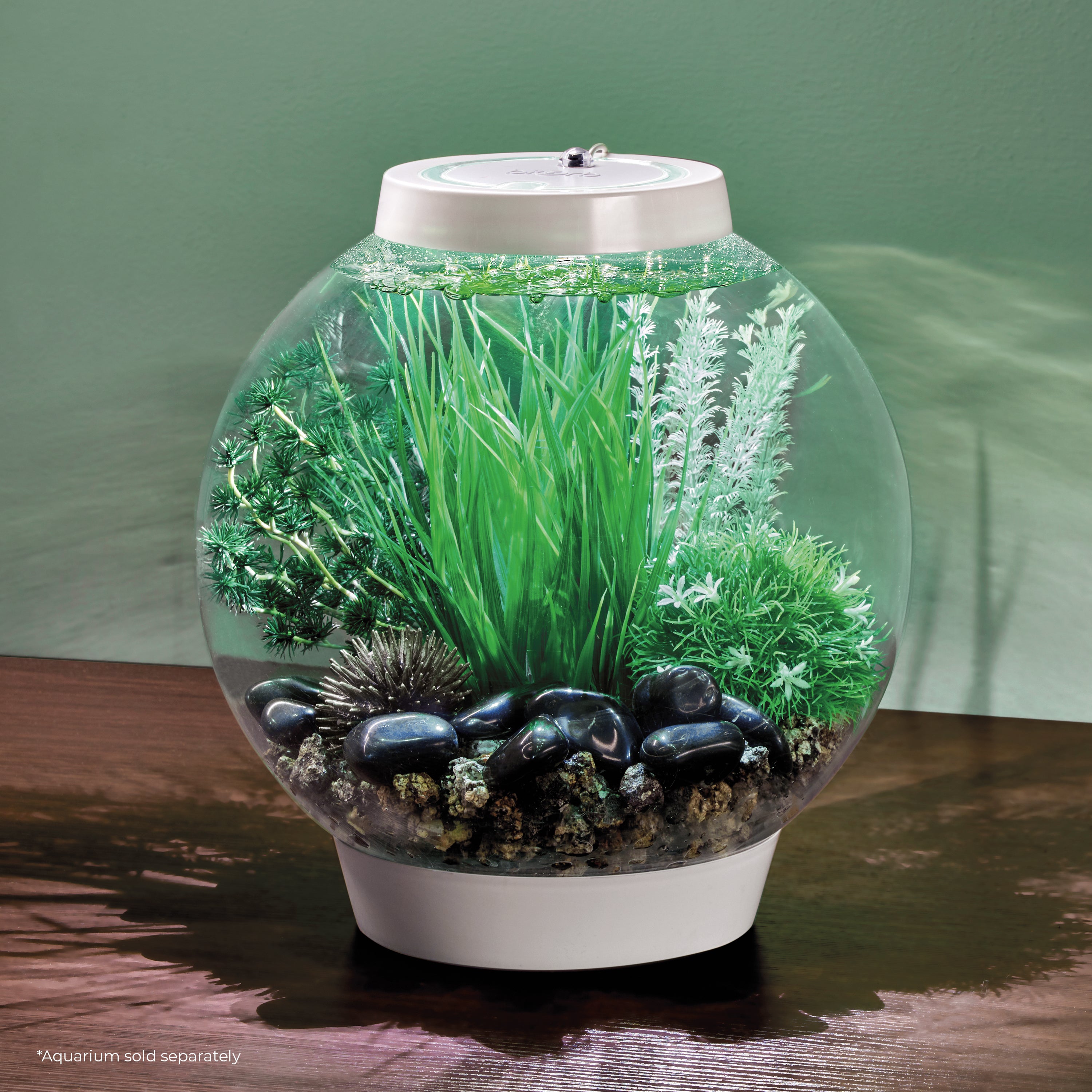 Tuvalu Décor Set in CLASSIC aquarium