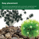 Tuvalu Décor Set plants