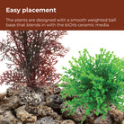 Palau Décor Set easy placement