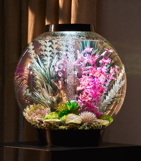 CLASSIC 30 - Rose Lit Reef – biOrb