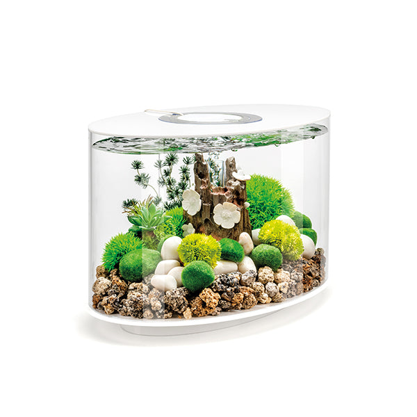 Aquarium Models – biOrb