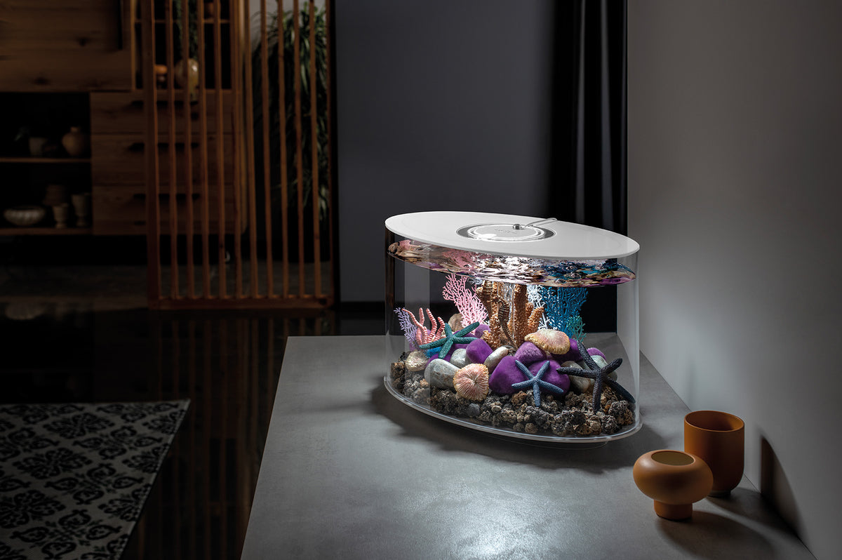 Aquarium Models – biOrb