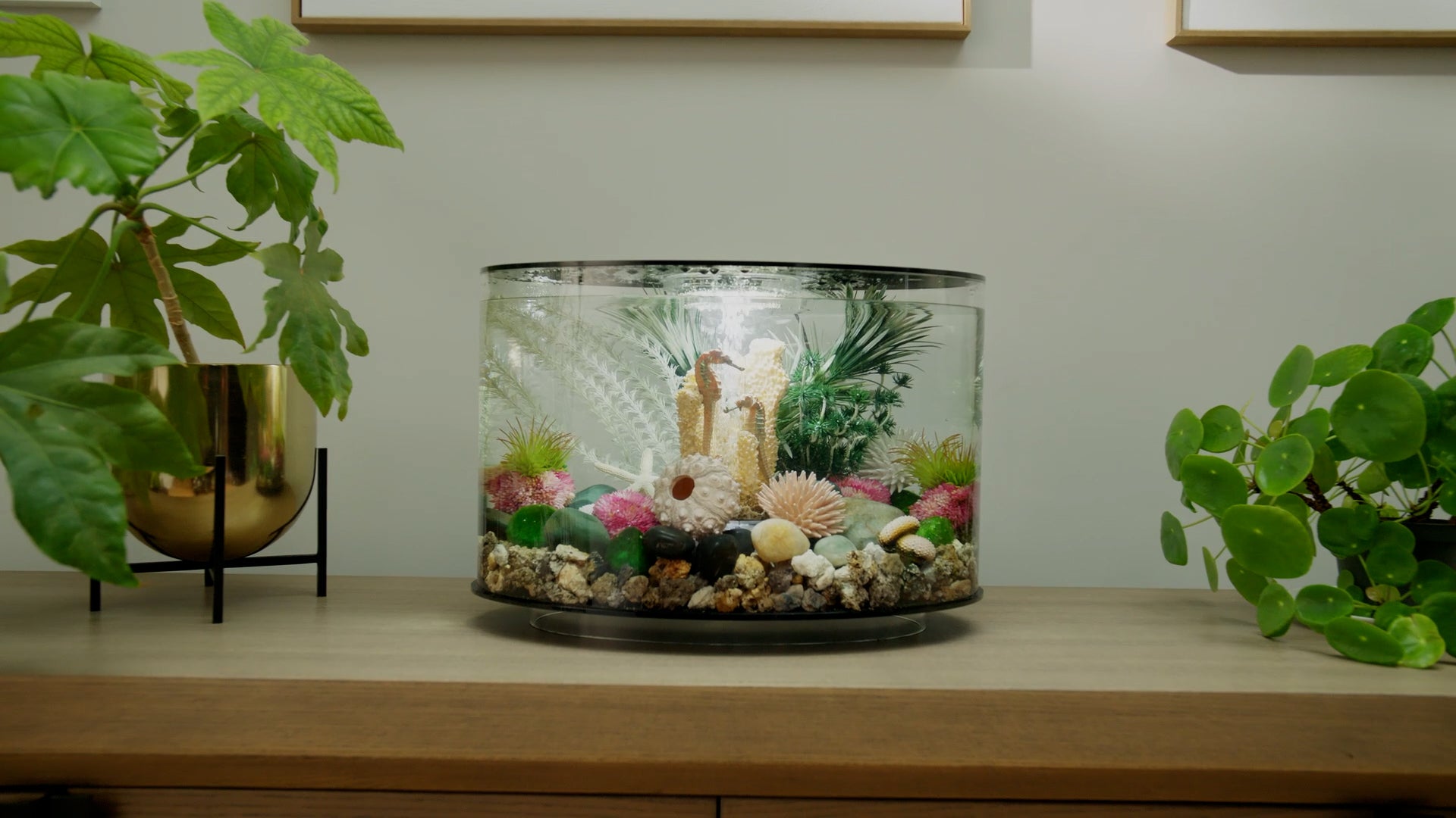 Innovative Aquariums and Terrariums for Your Home | biOrb US