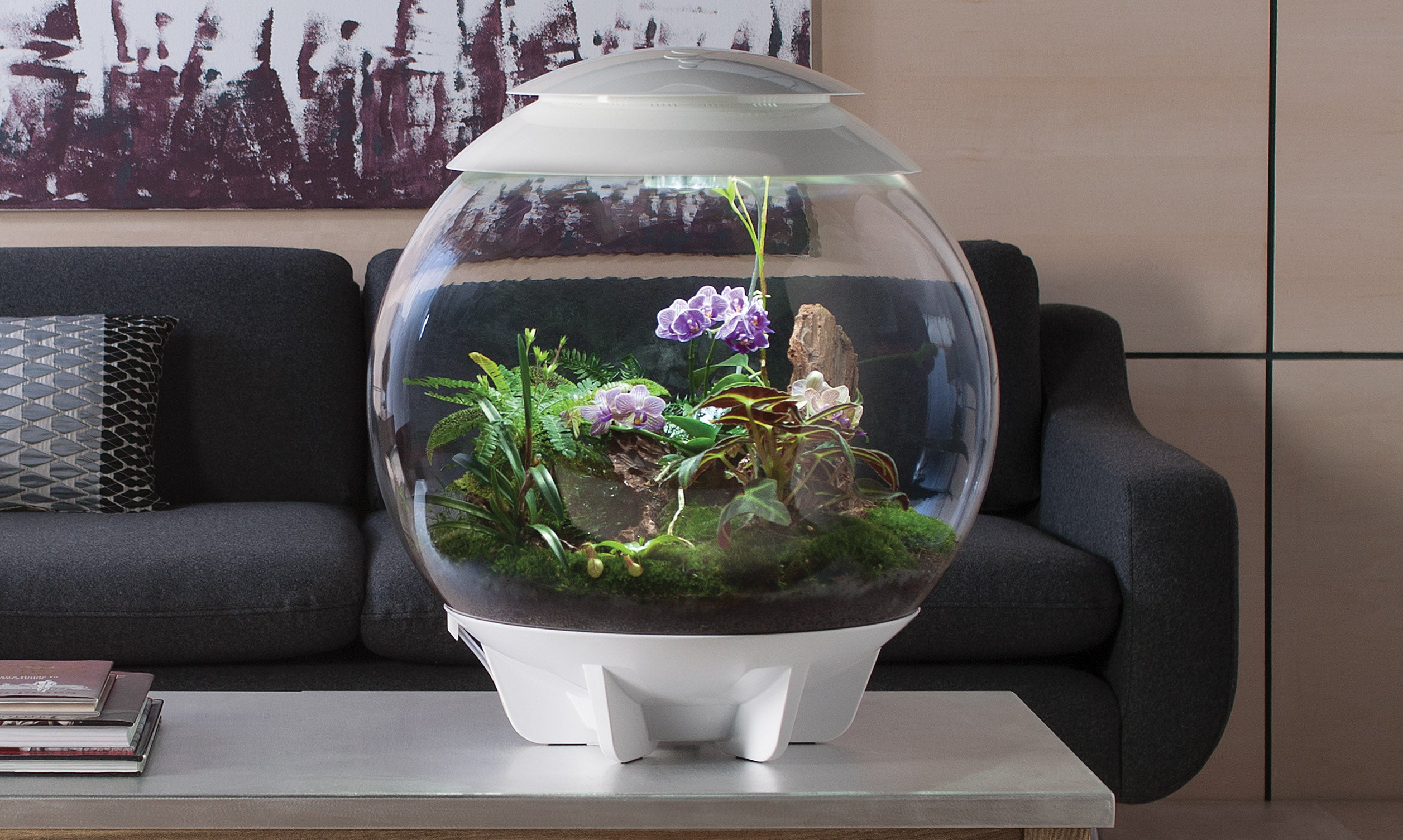 biOrb AIR 60 Terrarium: Automated Terrarium for Plants