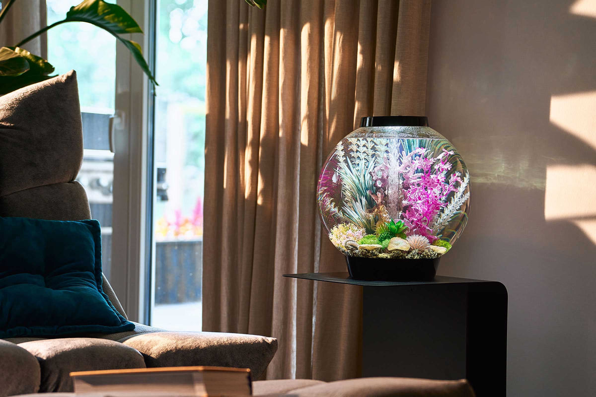 Biorb Stylish biOrb Aquariums and Accessories for Your Home | biOrb US