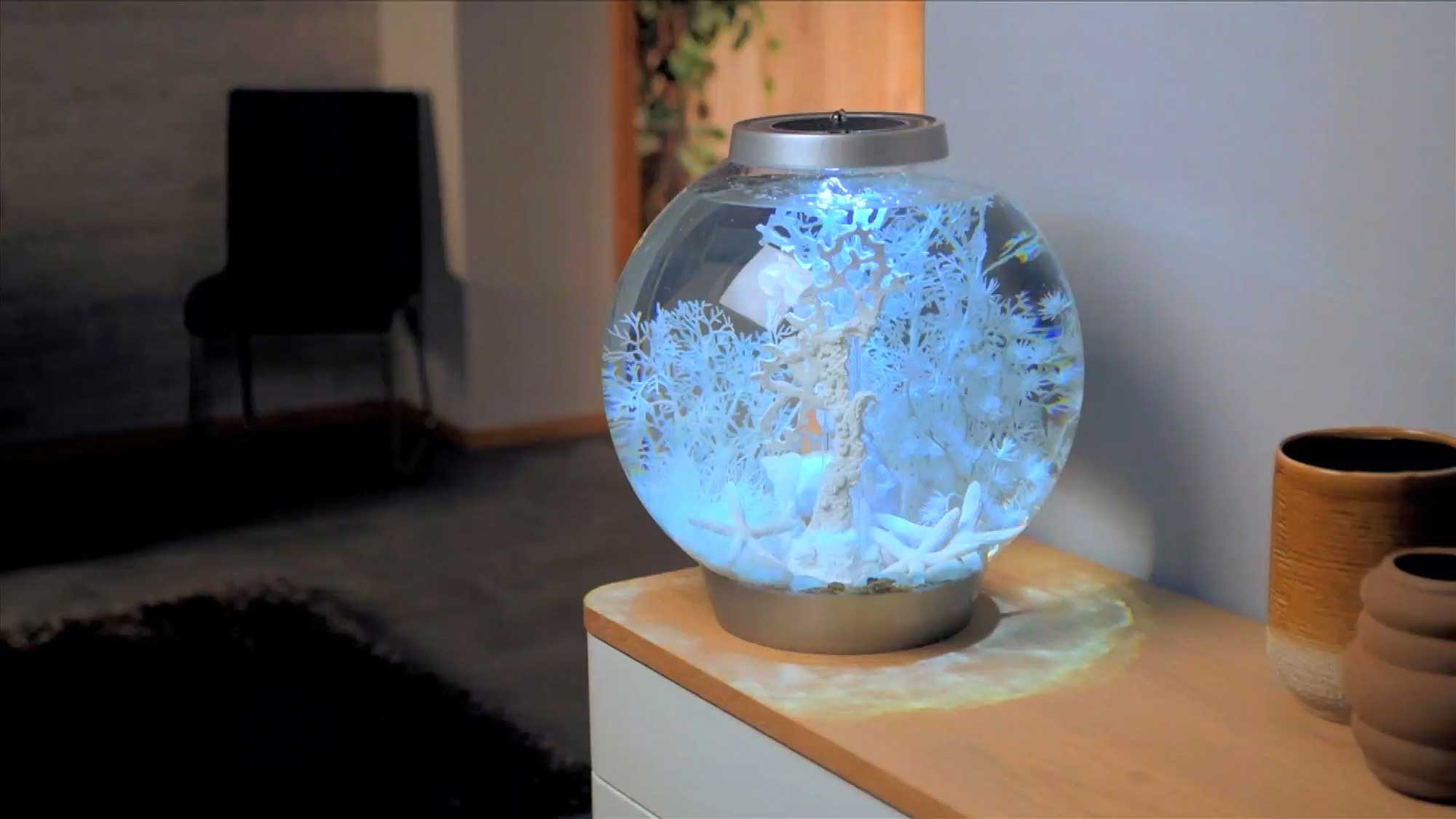 biOrb CLASSIC 30 aquarium with winter dream decor set