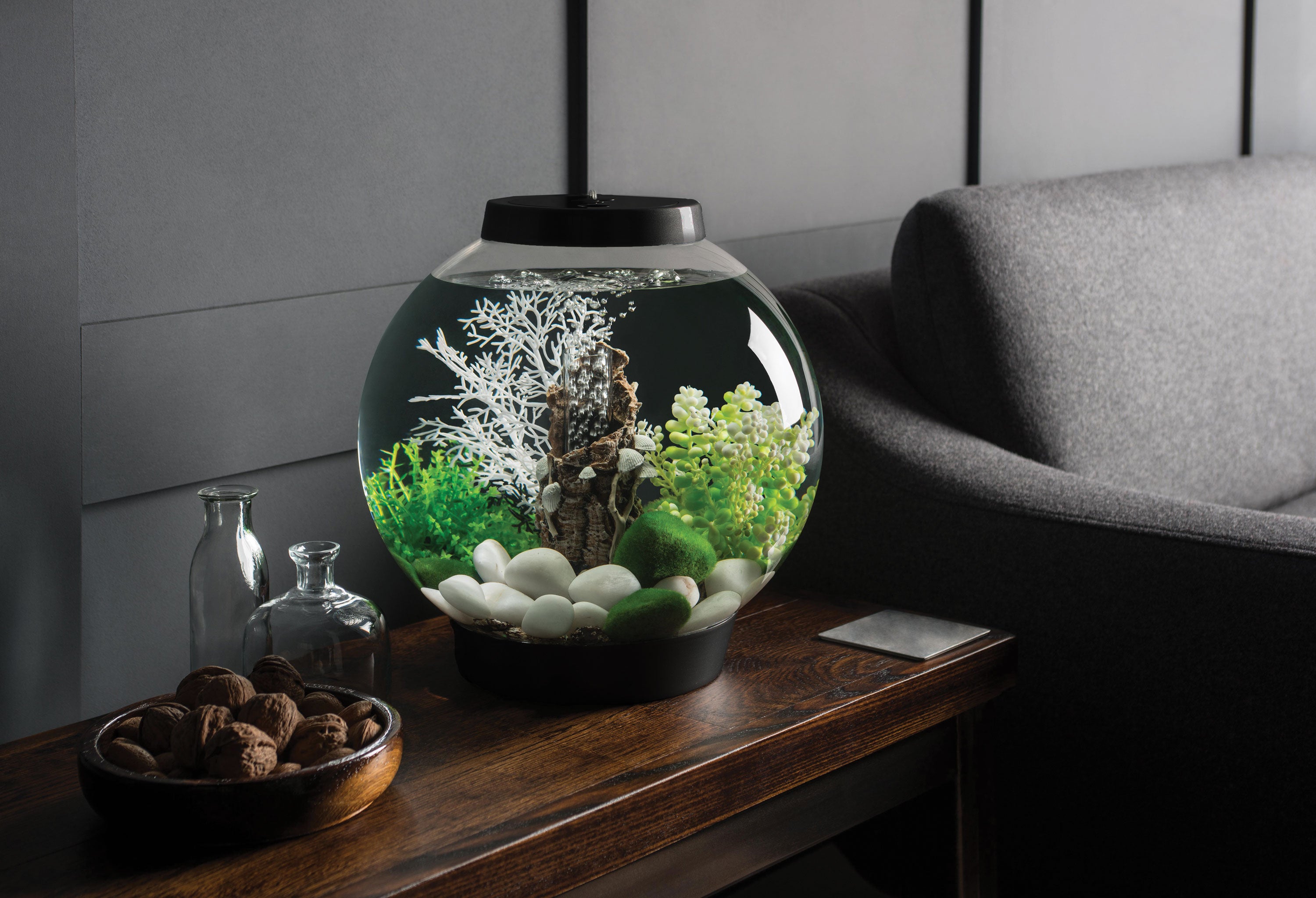 A spherical acrylic aquarium with a black lid and base, filled with white stones, green plants, and a white coral-like decoration, displayed on a wooden table in a modern room next to a gray sofa.