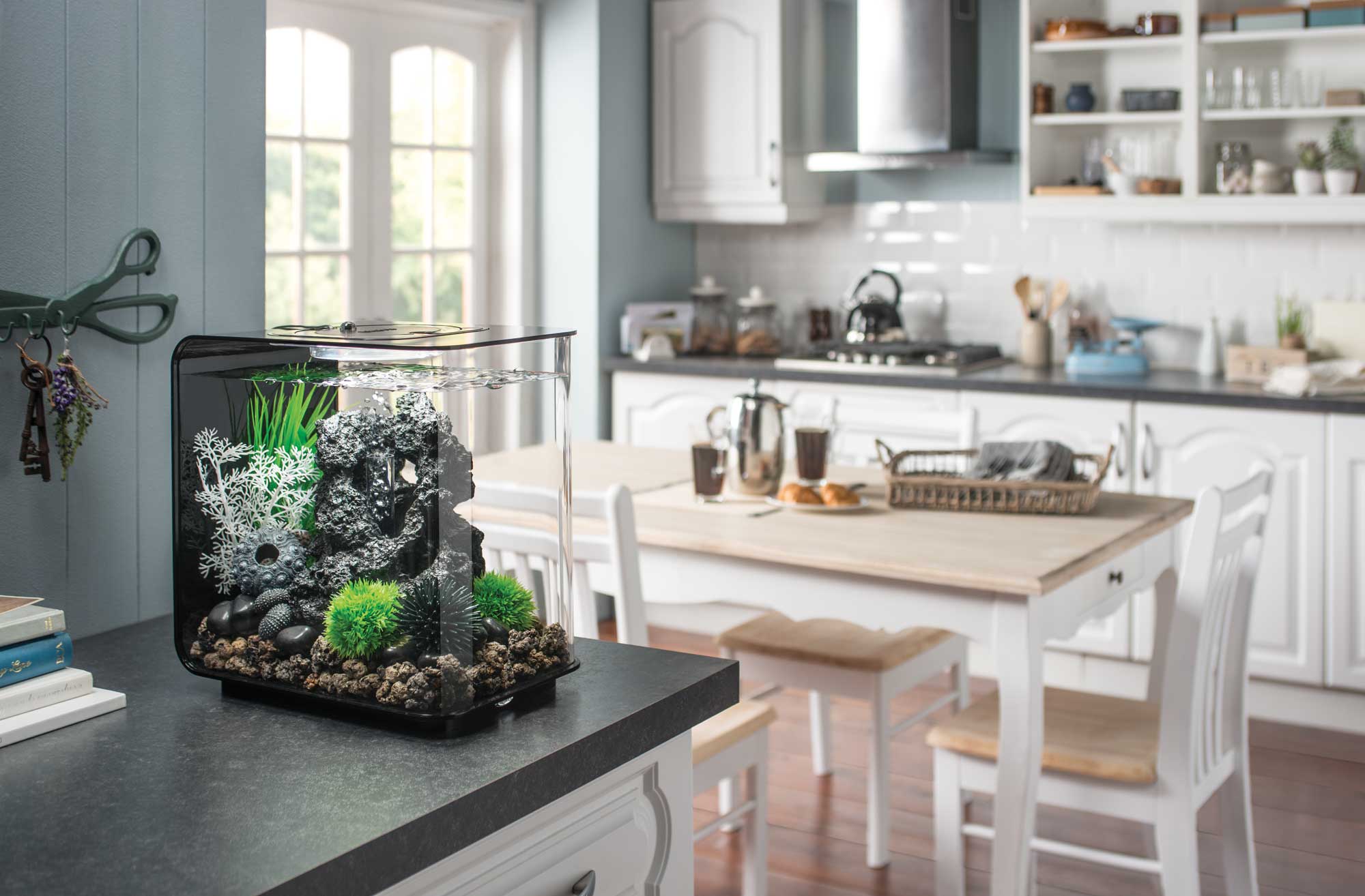 FLOW 30 Aquarium with Standard Light - 8 gallon – biOrb