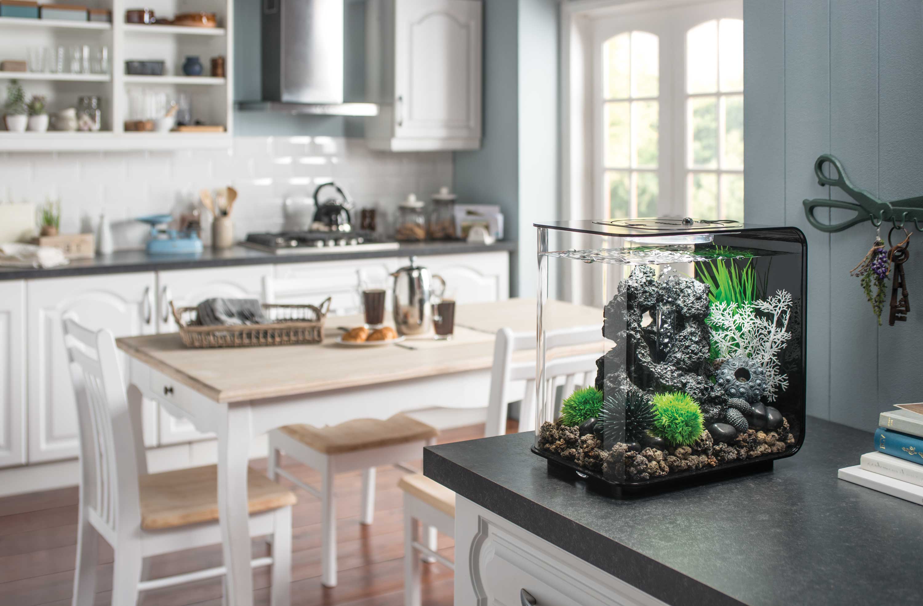 biOrb FLOW aquarium sitting on a kitchen counter