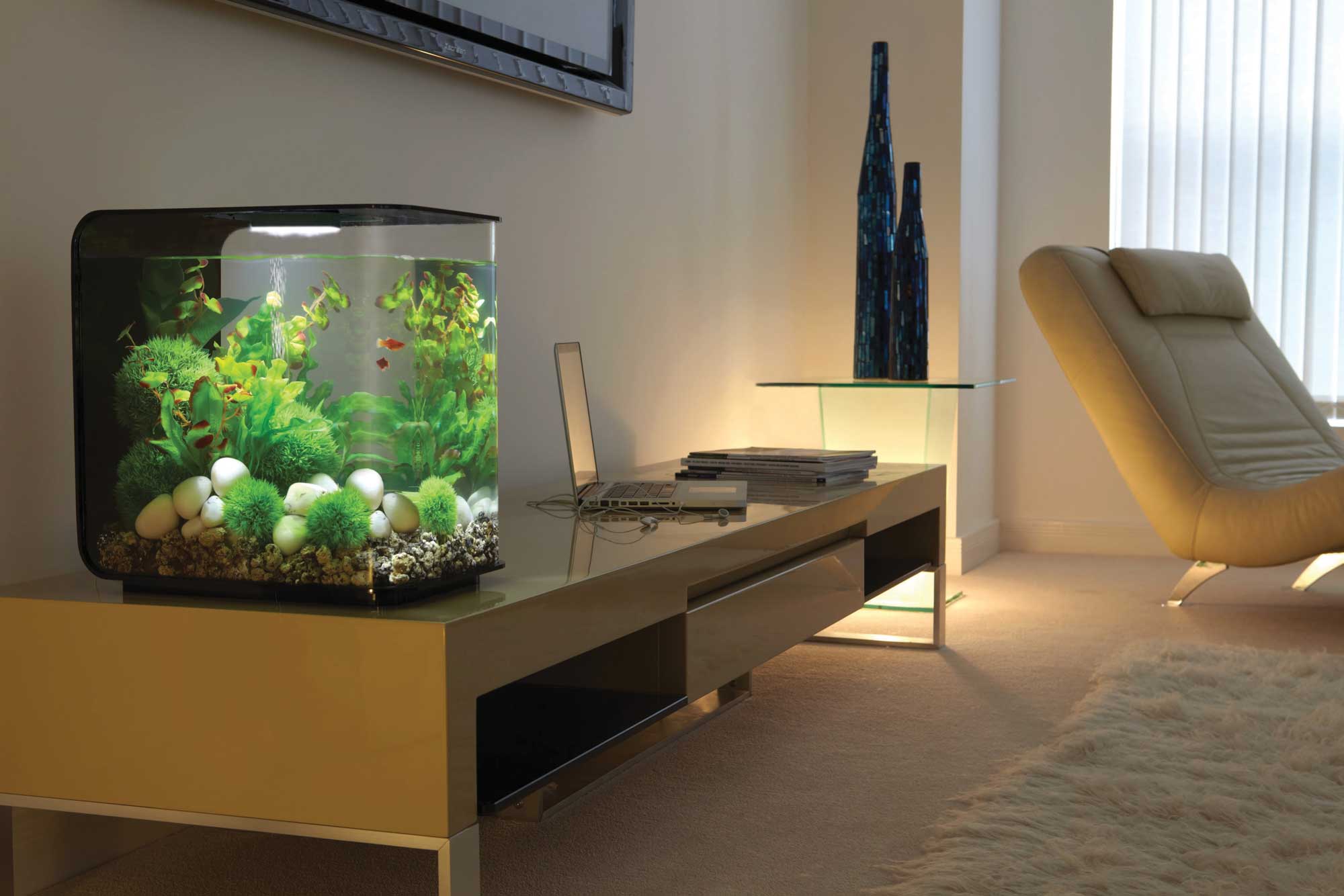 FLOW 30 aquarium with green decorations