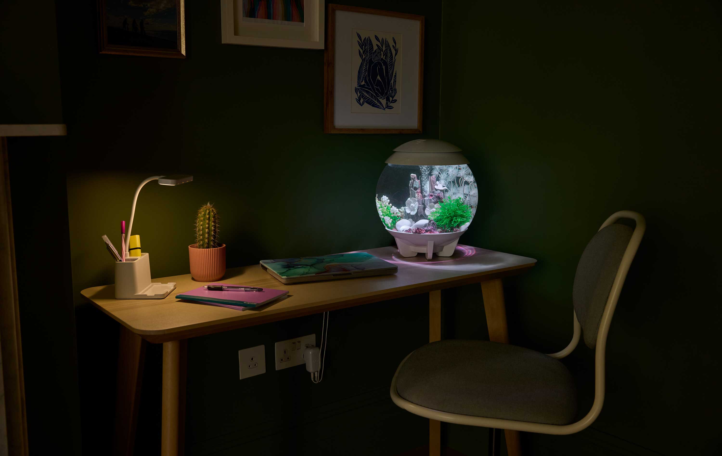 biOrb HALO 15 aquarium on a desktop