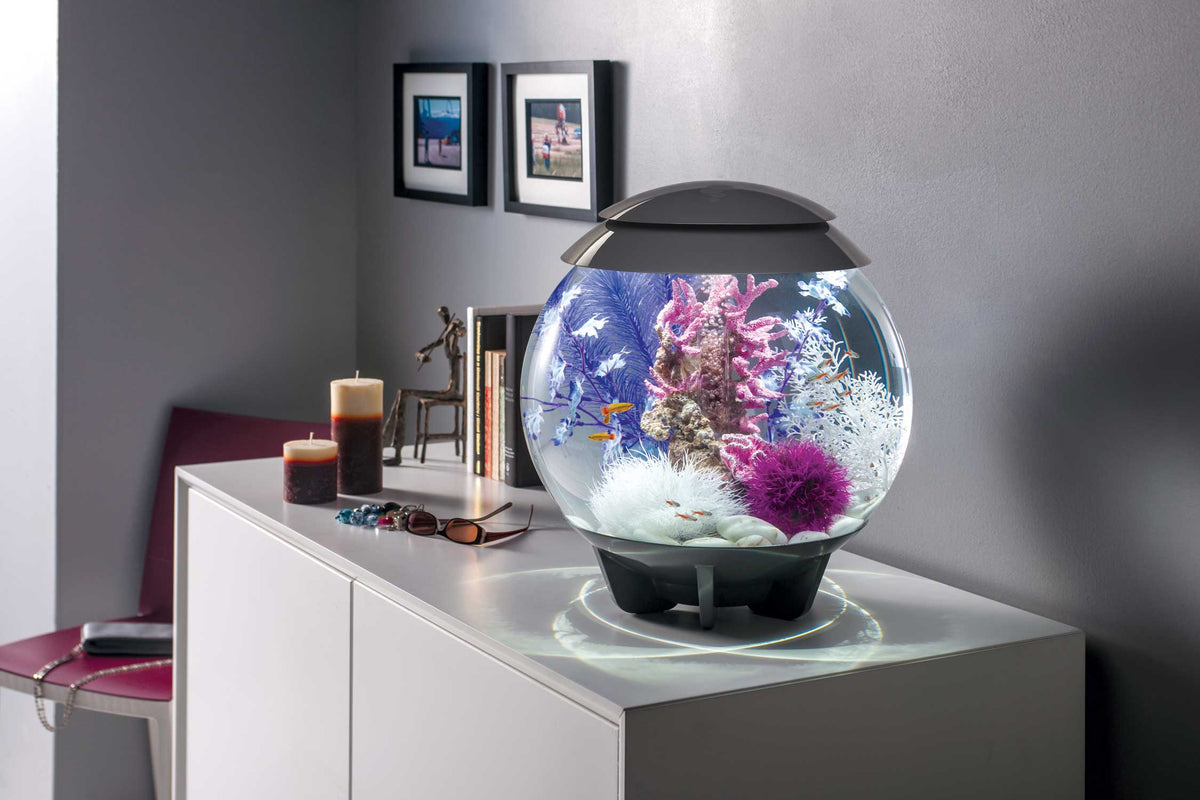 Biorb Aquarium Decor Sets to Enhance Your Tank | biOrb US