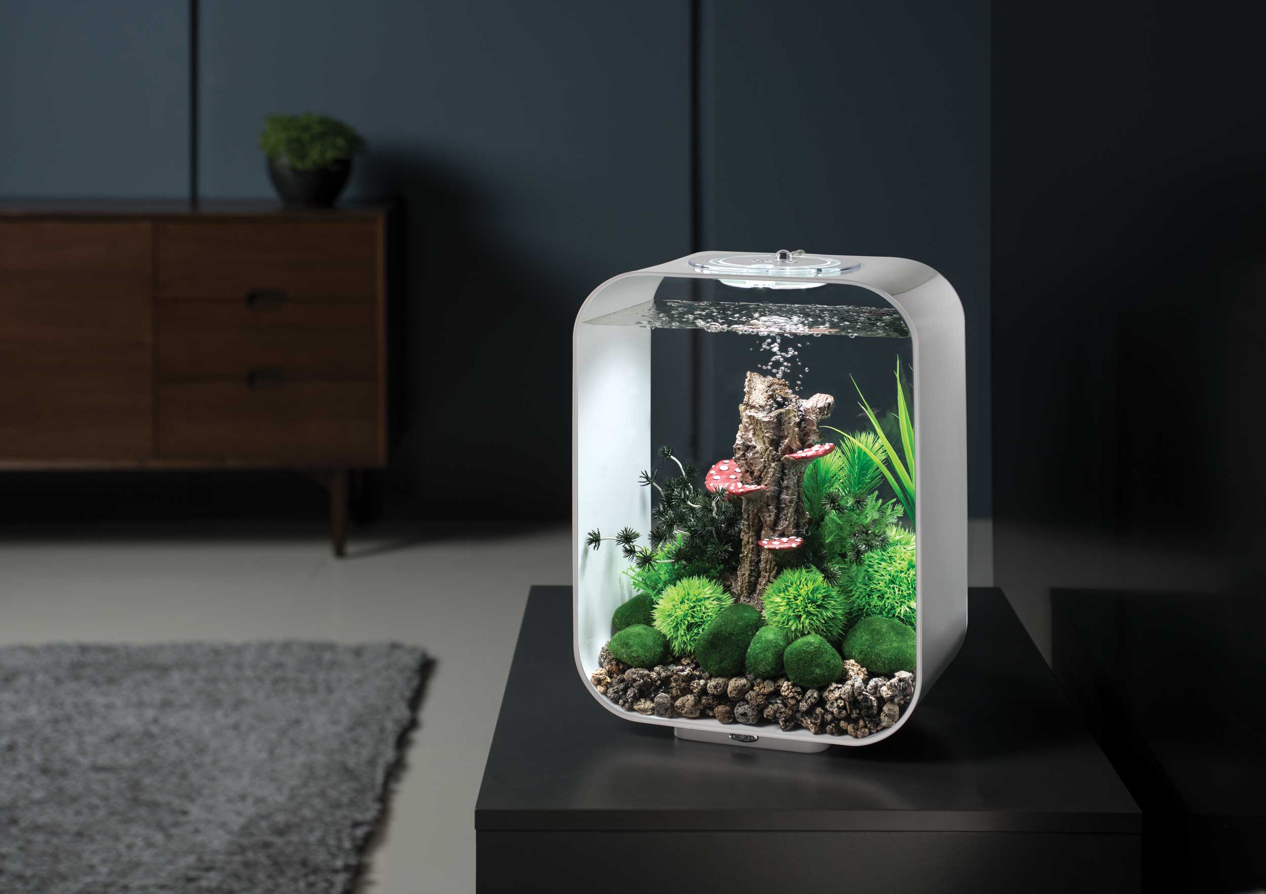 biOrb Life 15L バイオーブ ホワイト biOrb Life Aquarium for Beautiful Home Aquascapes | biOrb US
