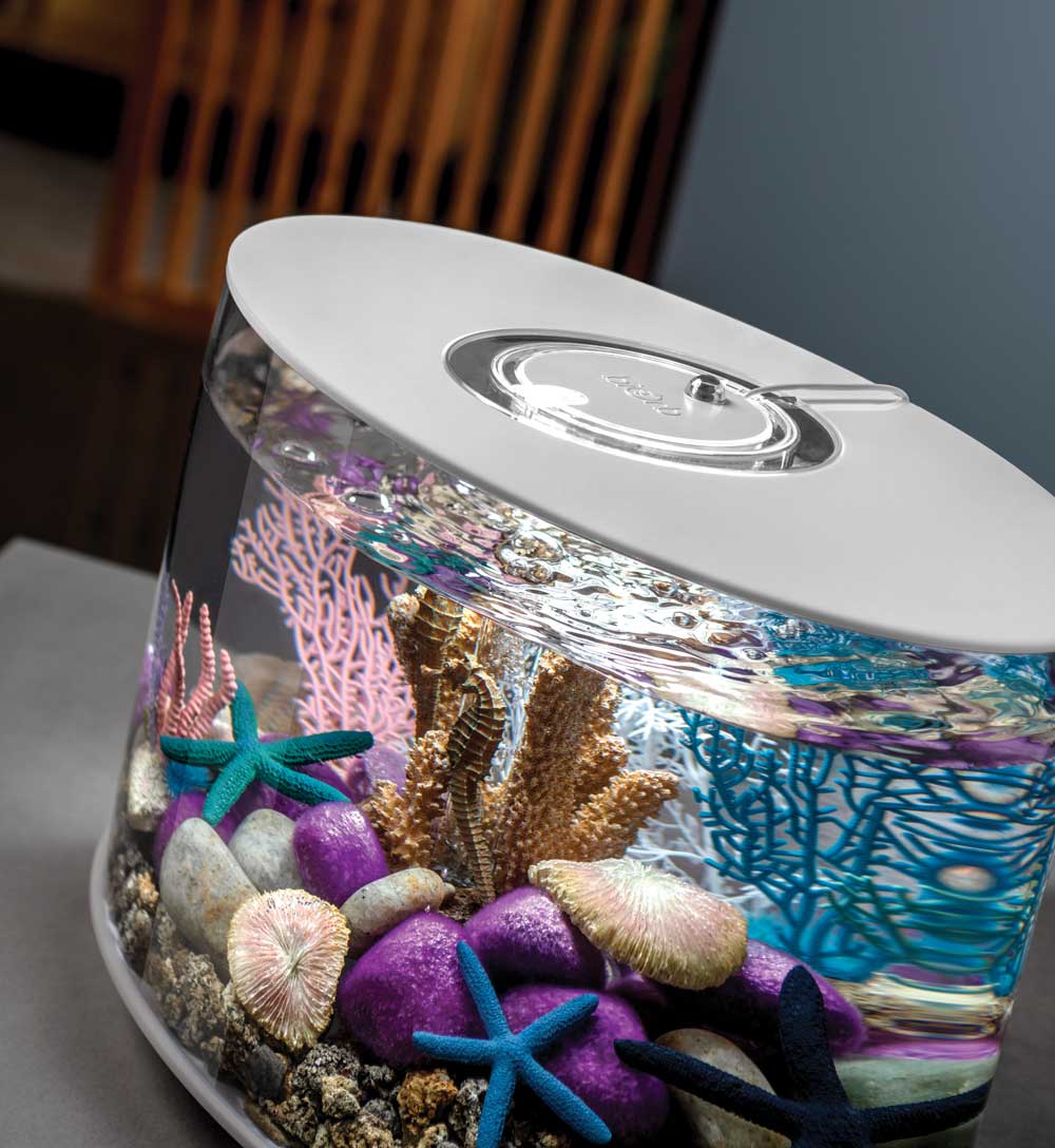 biOrb 48359 Ornament Tendril Grape＿並行輸入品 biOrb 48359 Ornament Tendril Grape : Buy Online at Best Price in