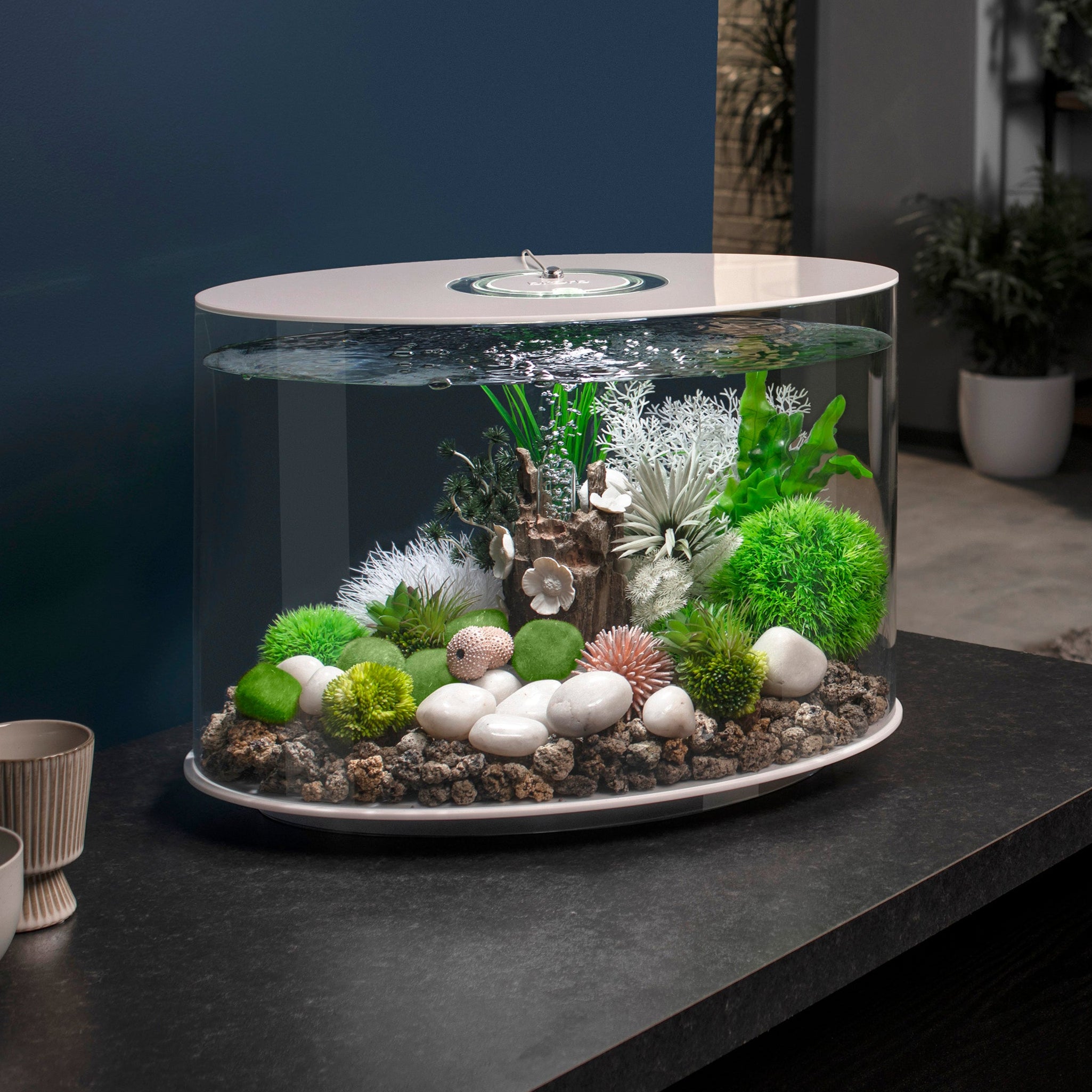 LOOP 30 aquarium with floral decorations