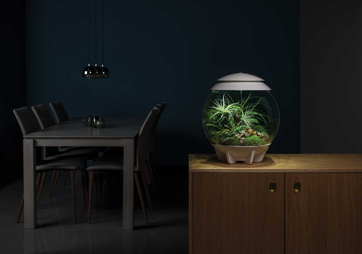 Biorb Terrarium Models – biOrb