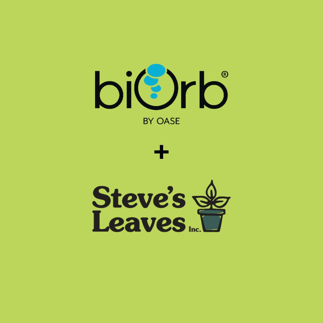 biOrb + Steve's Leaves Collaboration Coupon