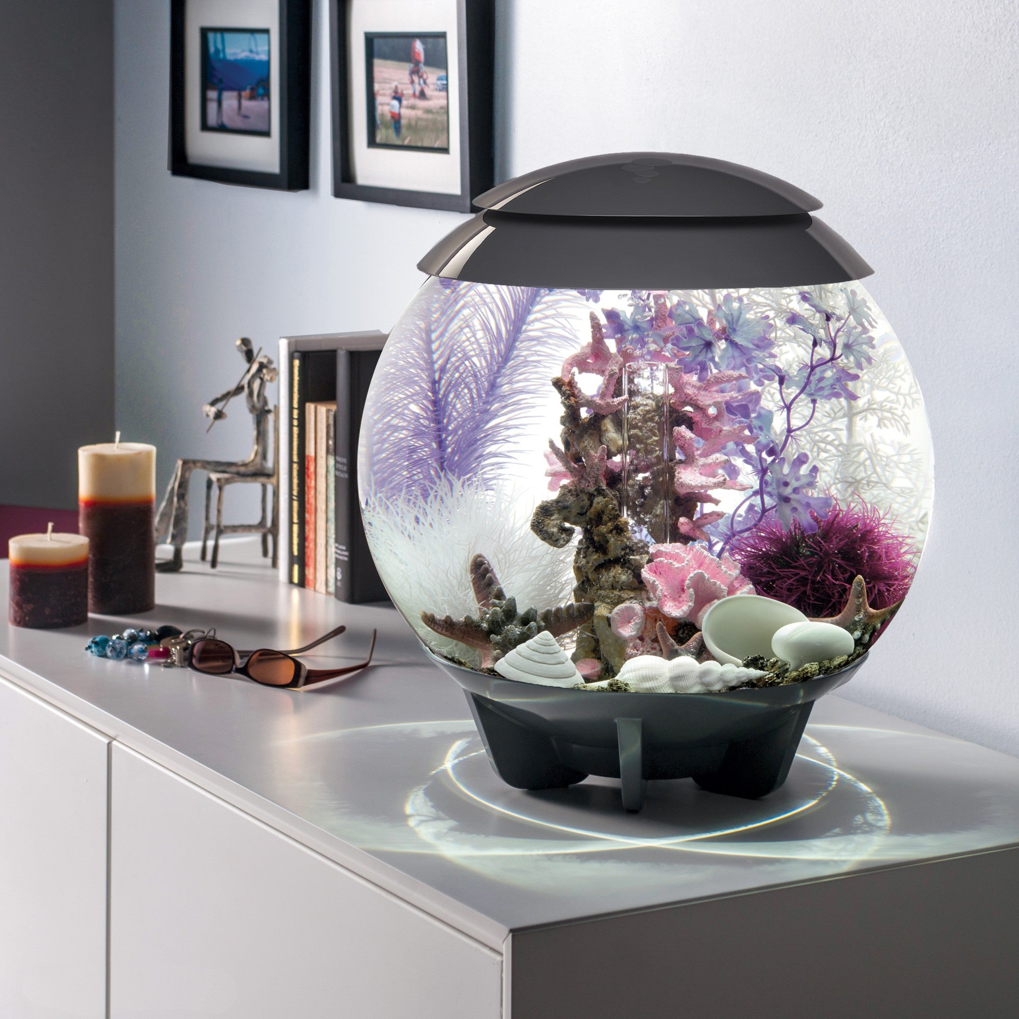 HALO Aquariums Shop the Look – biOrb