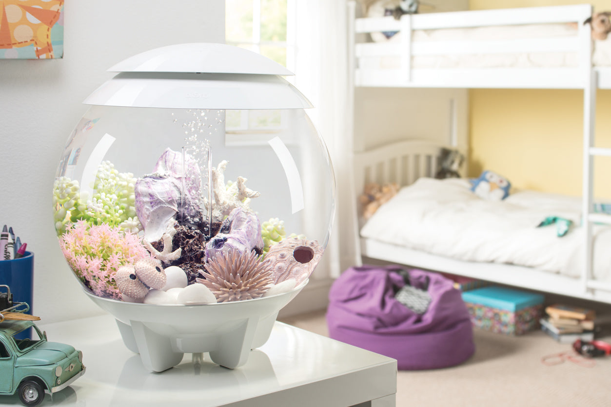 A biOrb CLASSIC aquarium adorns the tabletop in a child's bedroom