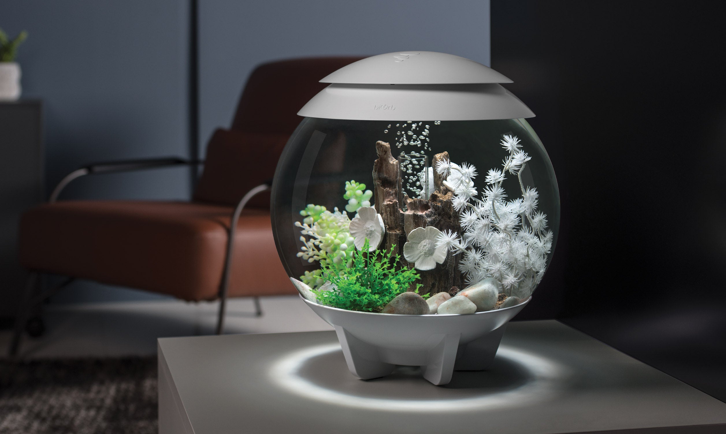 biorb HALO (バイオーブ　ハロ) 15L水槽 Halo Aquarium from biOrb for Stunning Aquatic Life | biOrb US