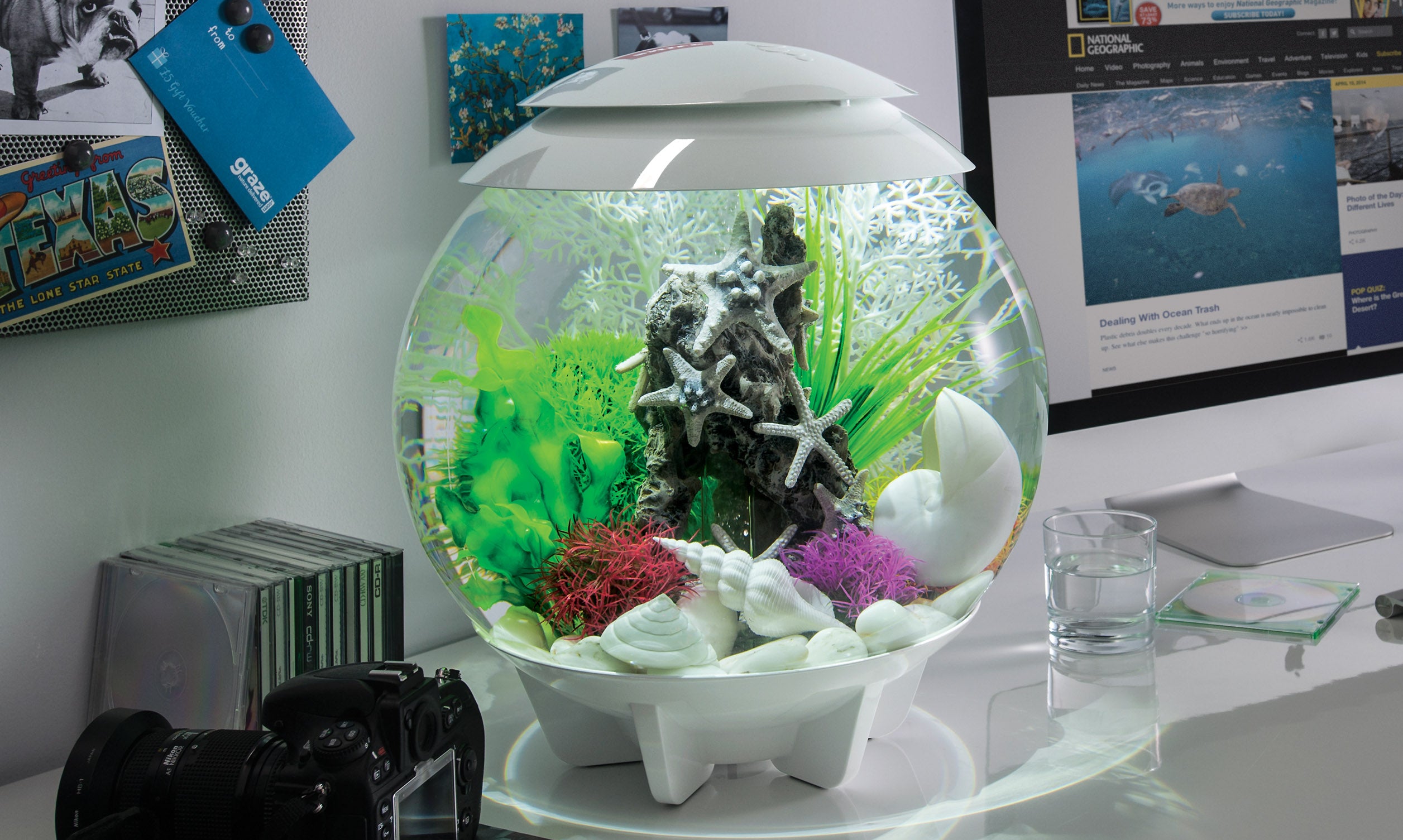 biorb HALO (バイオーブ　ハロ) 15L水槽 biorb HALO (バイオーブ ハロ) 15L水槽快適