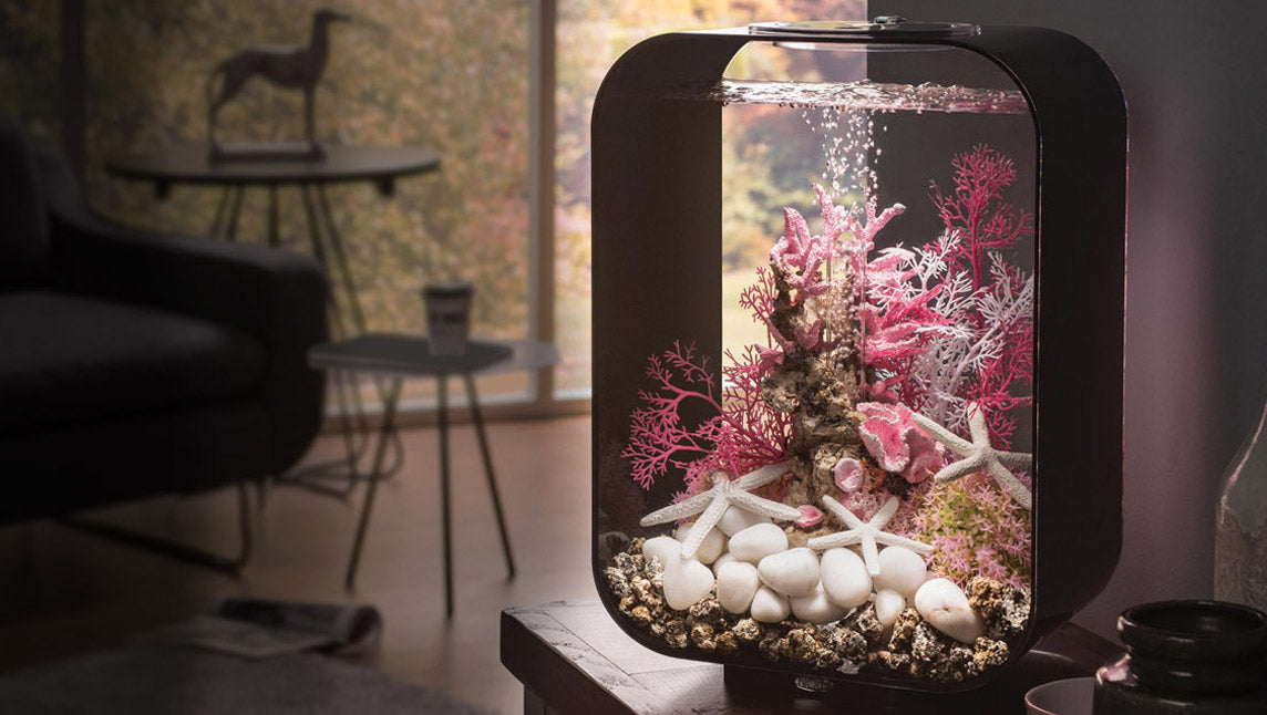 biOrb Life 15L バイオーブ ホワイト Amazon.com : biOrb Life 15 Acrylic 4-Gallon Aquarium with