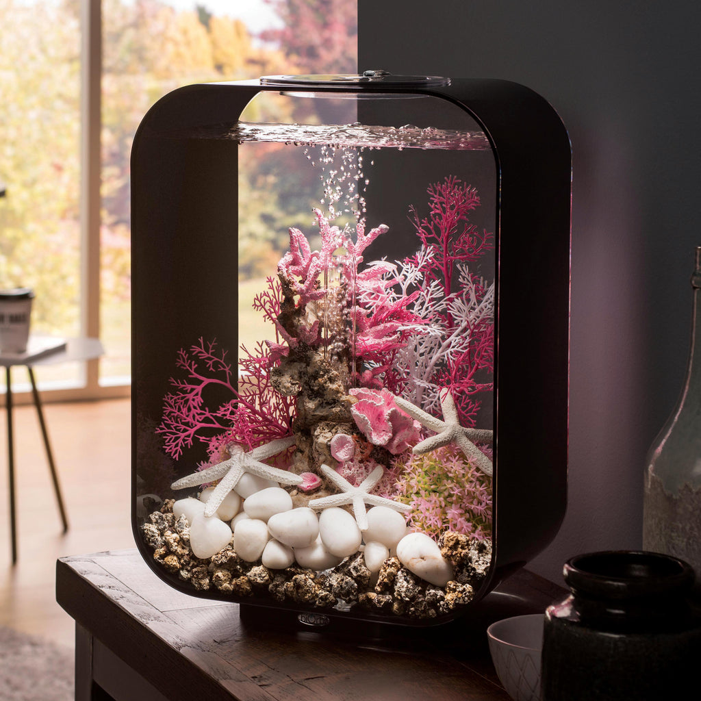Biorb Aquariums – biOrb